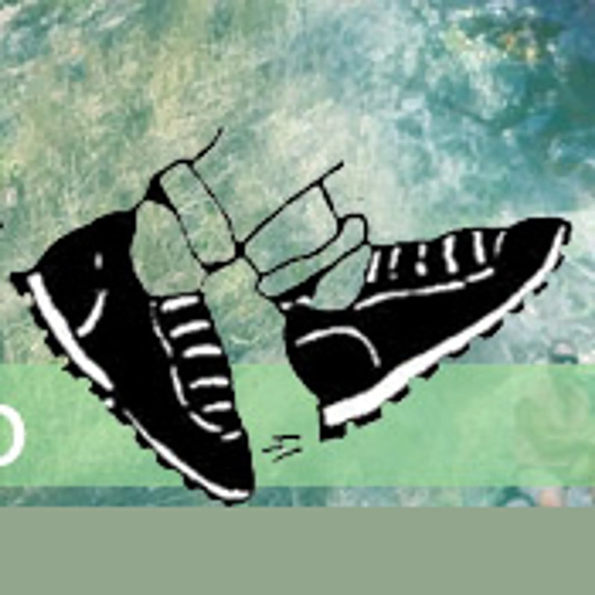 Cairns Bushwalkers Club 