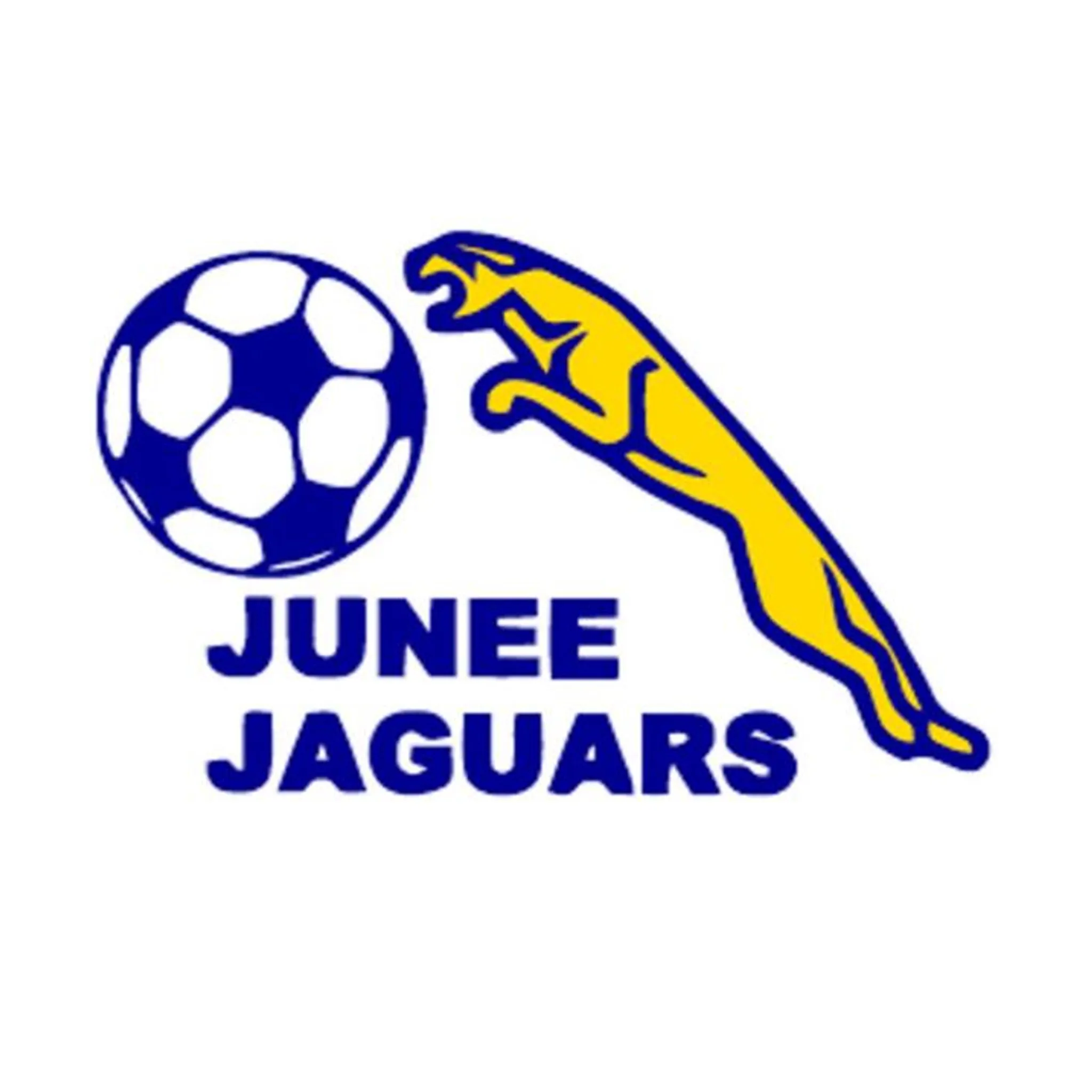 Junee Soccer Club