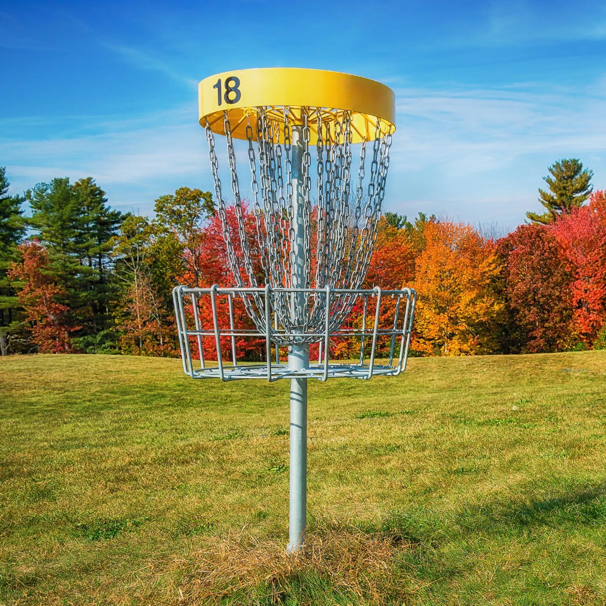 Disc Golf