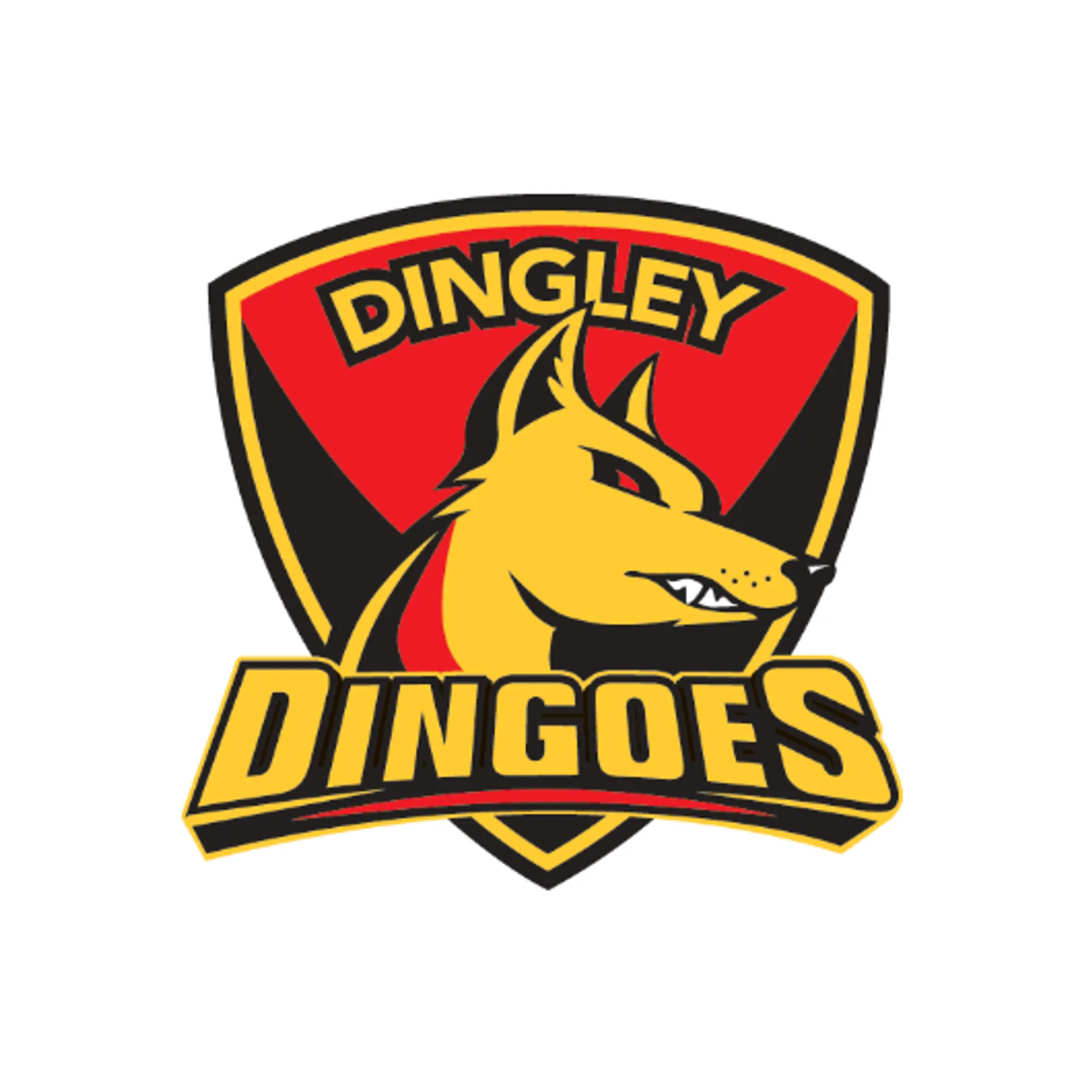 Dingley Football Netball Club