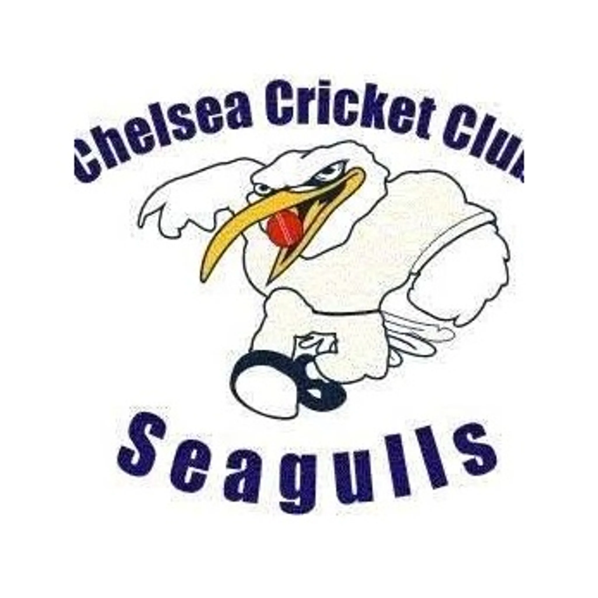 Chelsea Cricket Club