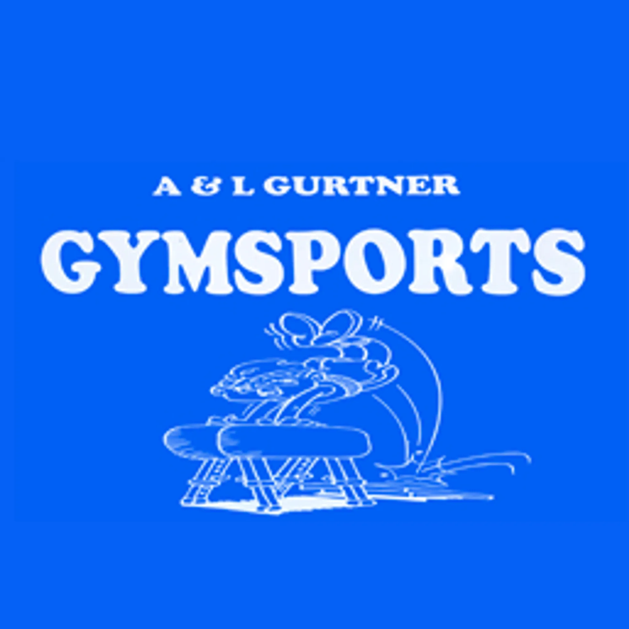 Gymsports For Schools