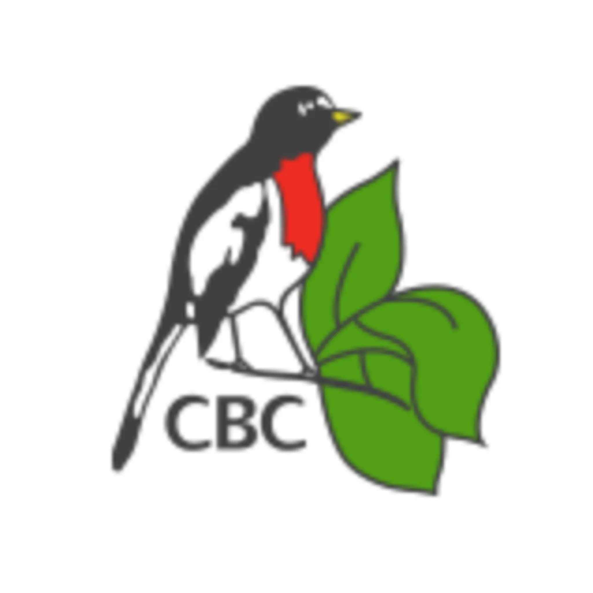 Catholic Bushwalking Club