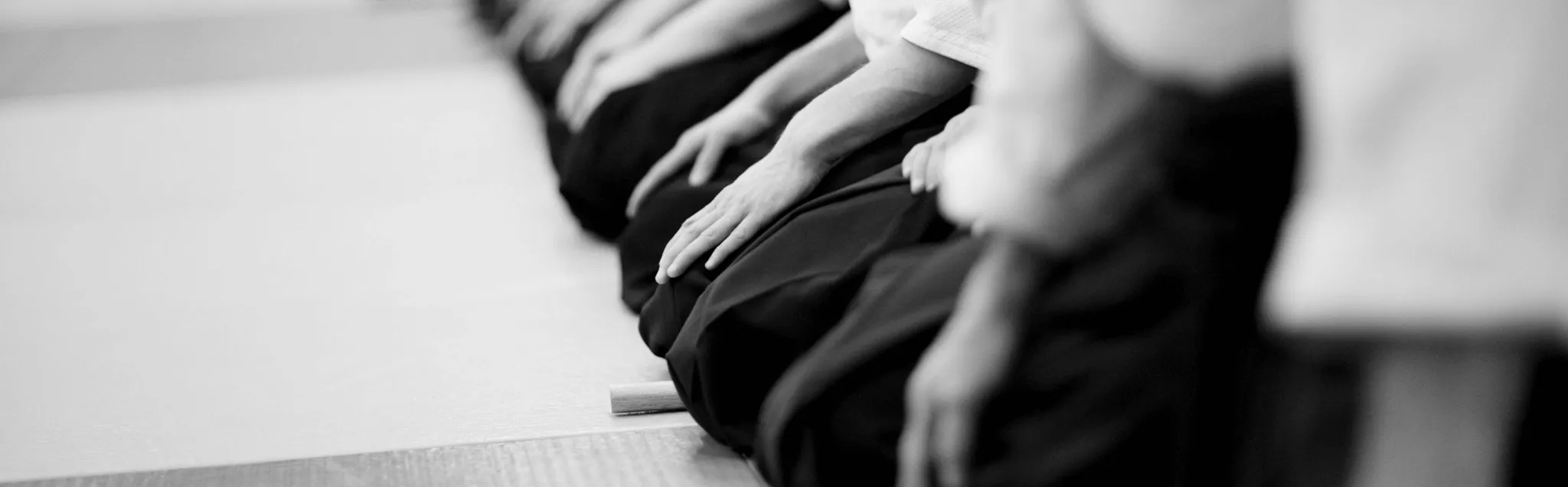 Aikido banner