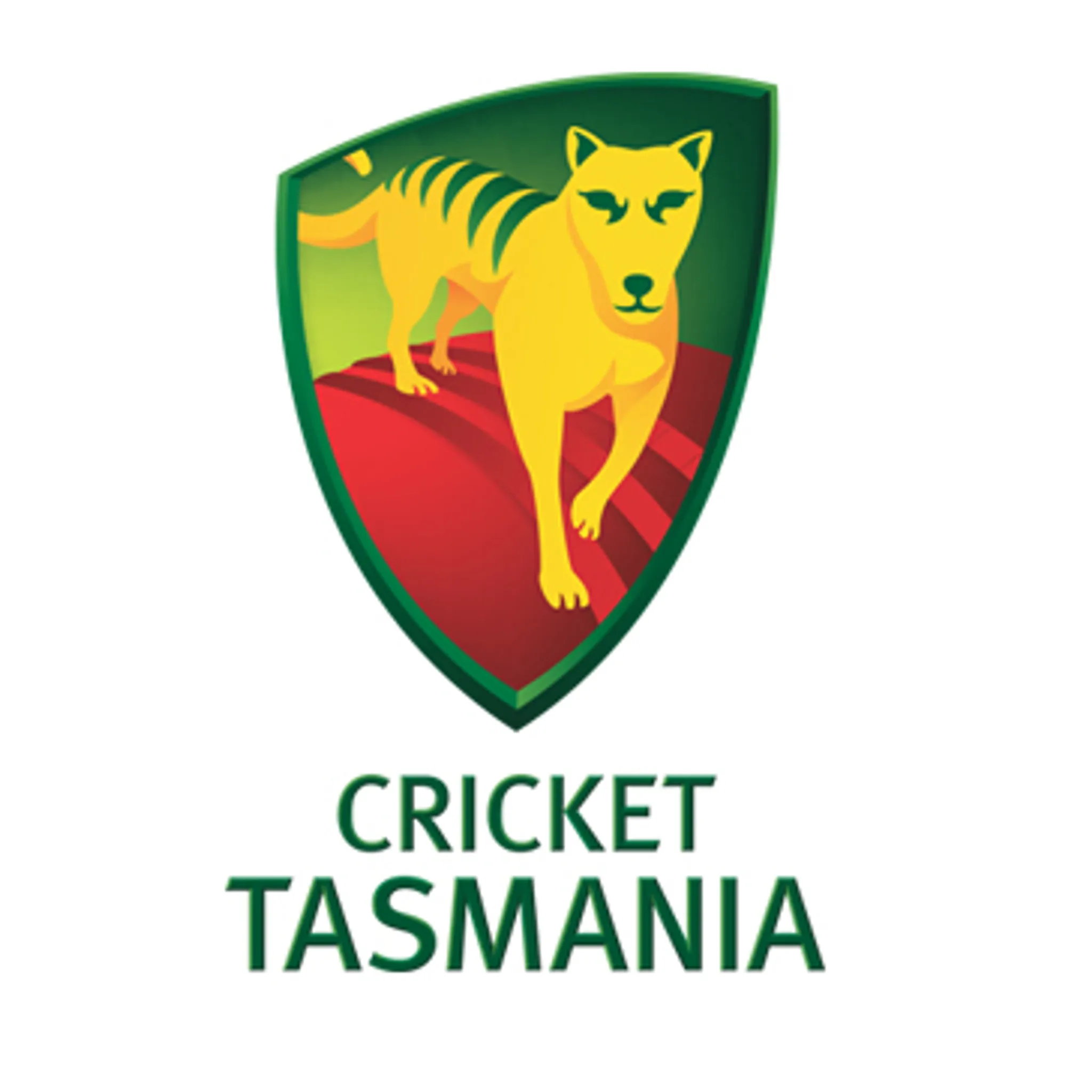 Cricket Tasmania