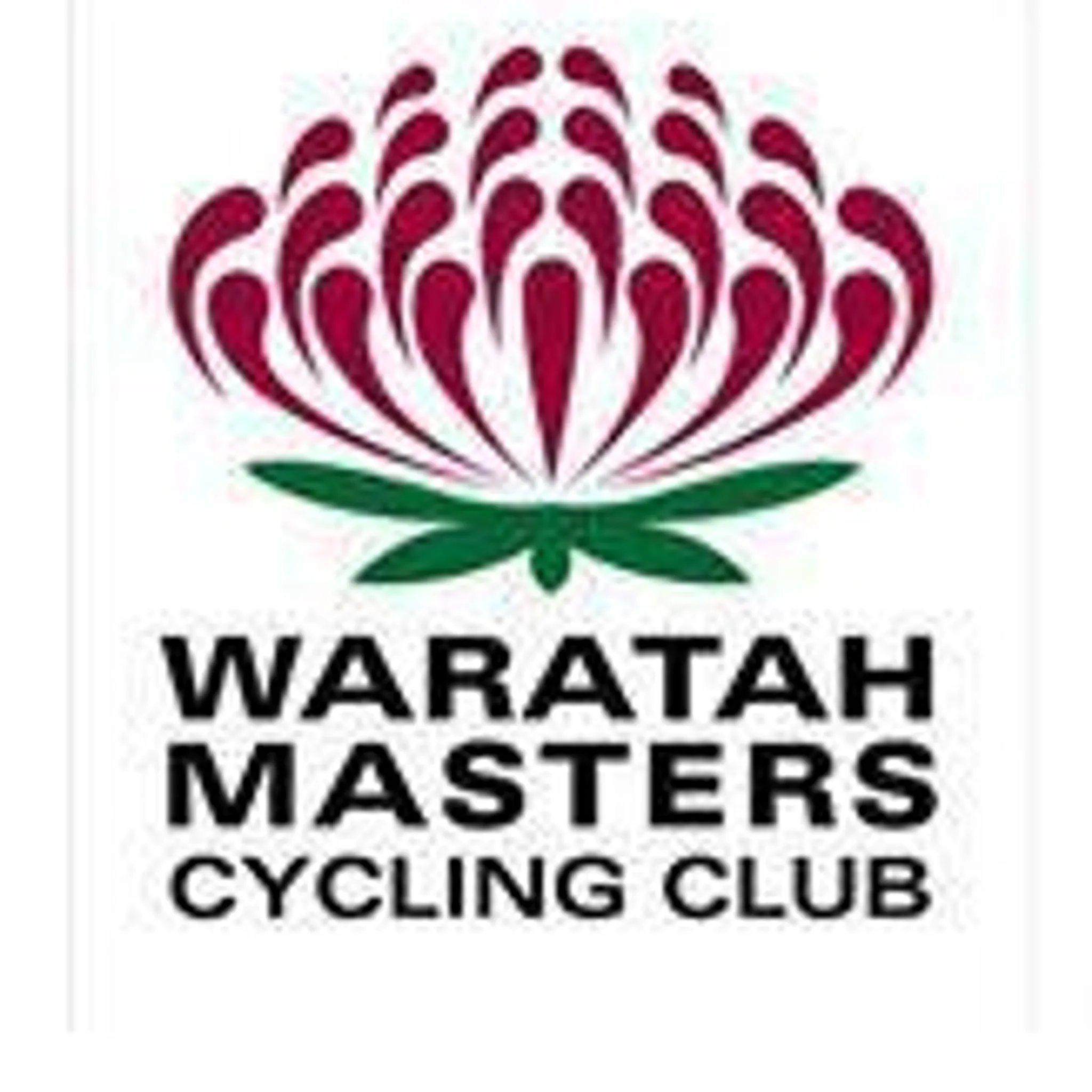 Waratah Masters Cycling Club
