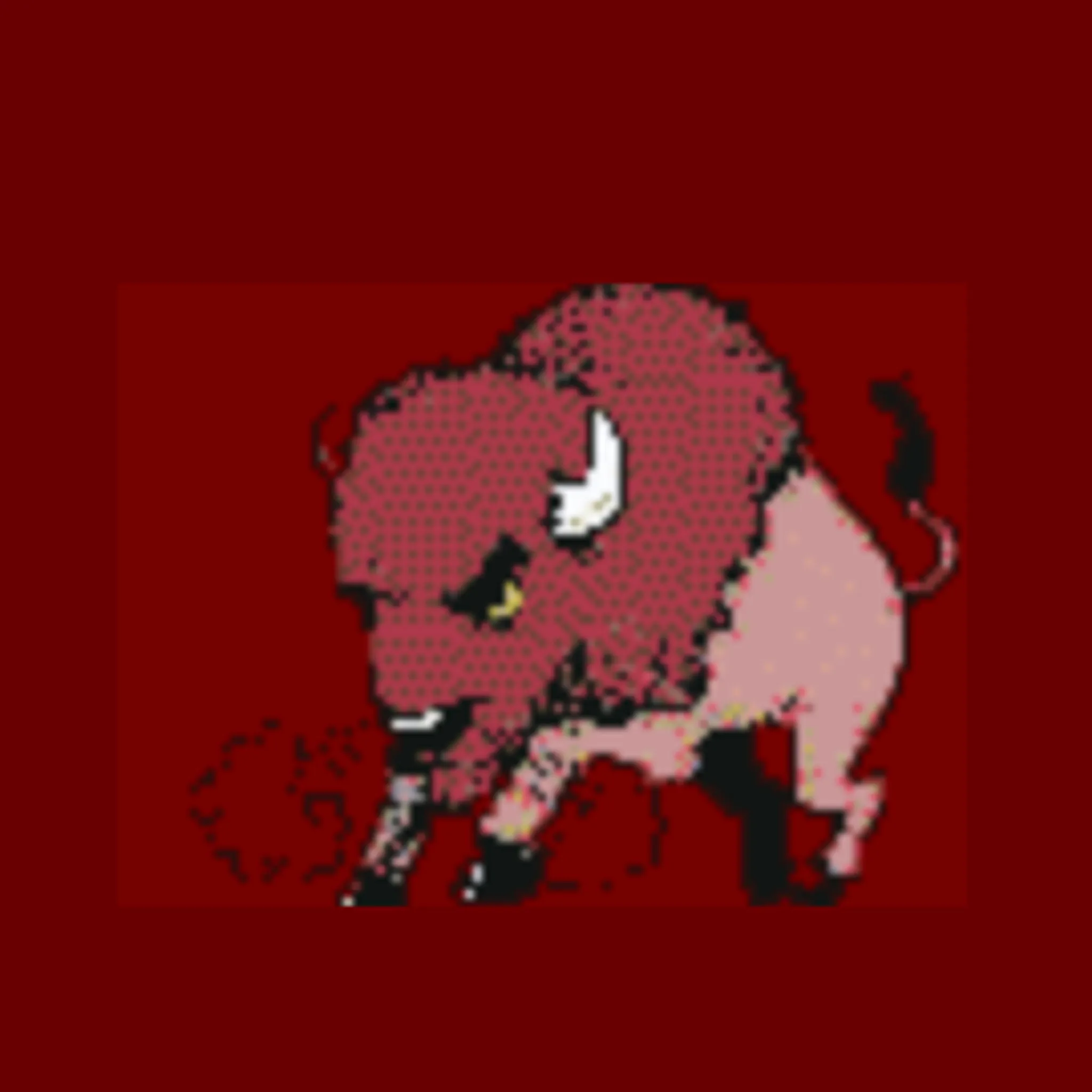 South Bunbury Cricket Club