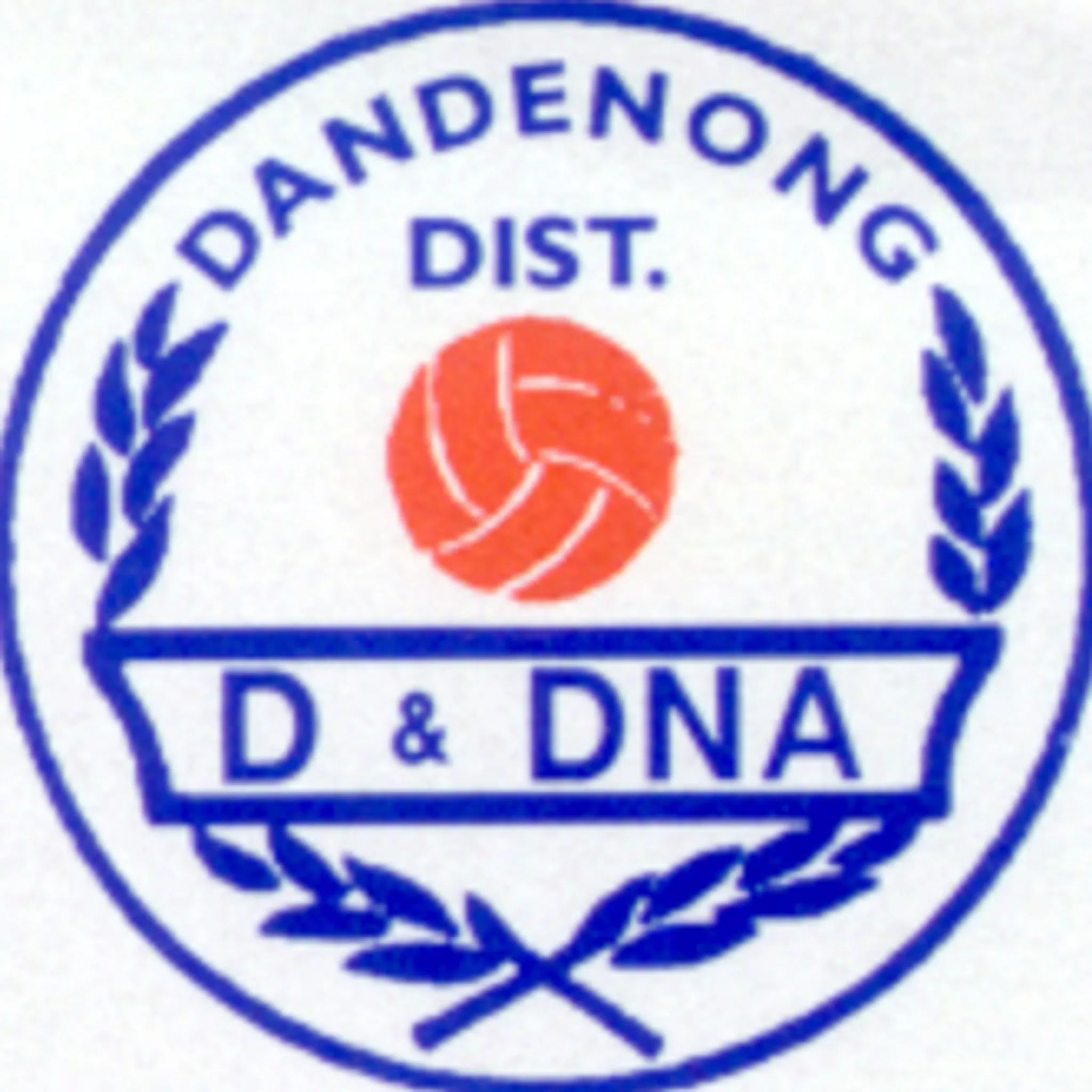 Dandenong & District Netball Association