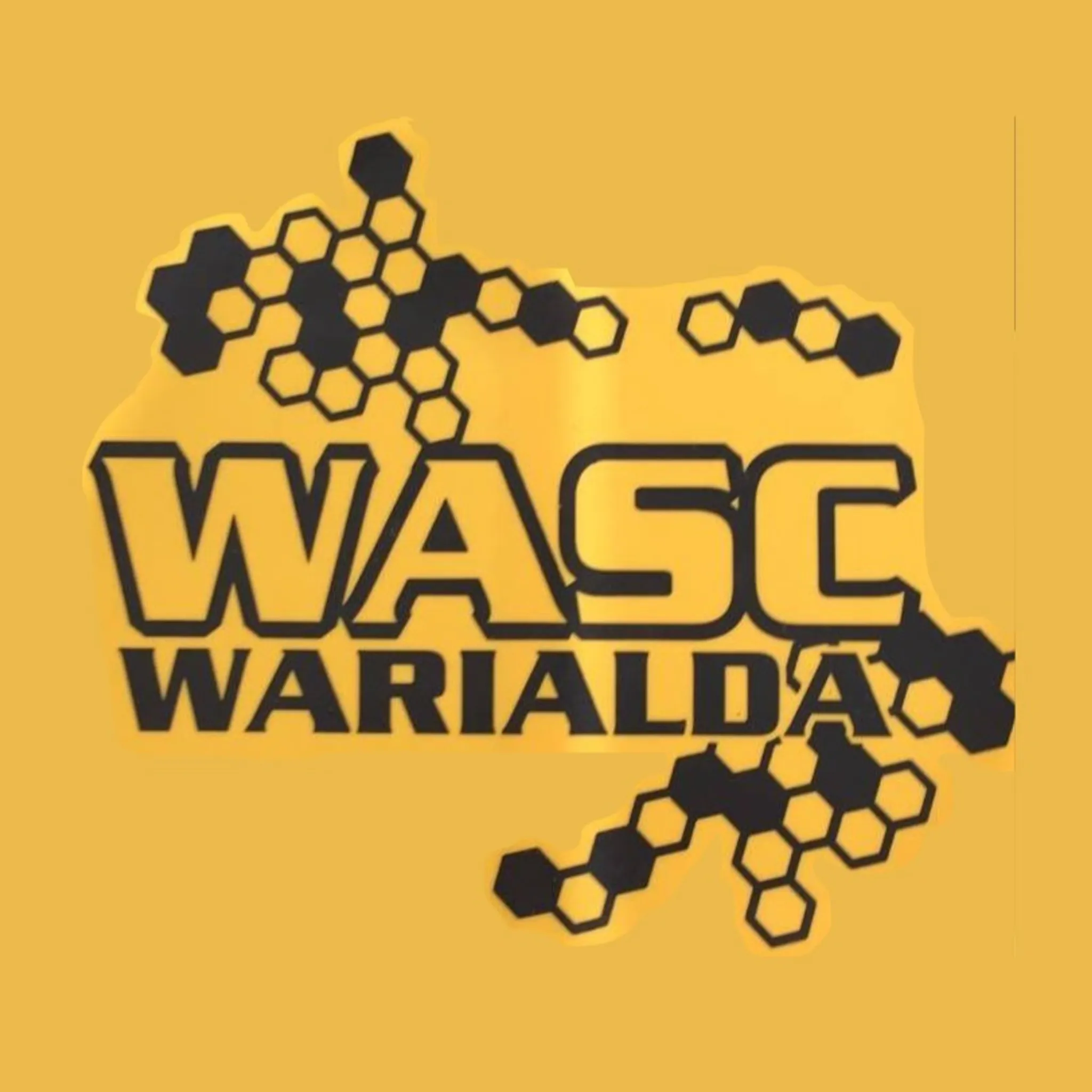 Warialda Swimming Club