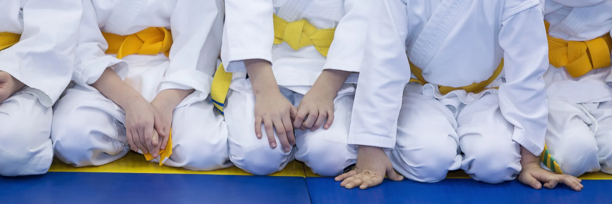 Kids Aikido Term One 2019 Kids Aikido Term One 2019
