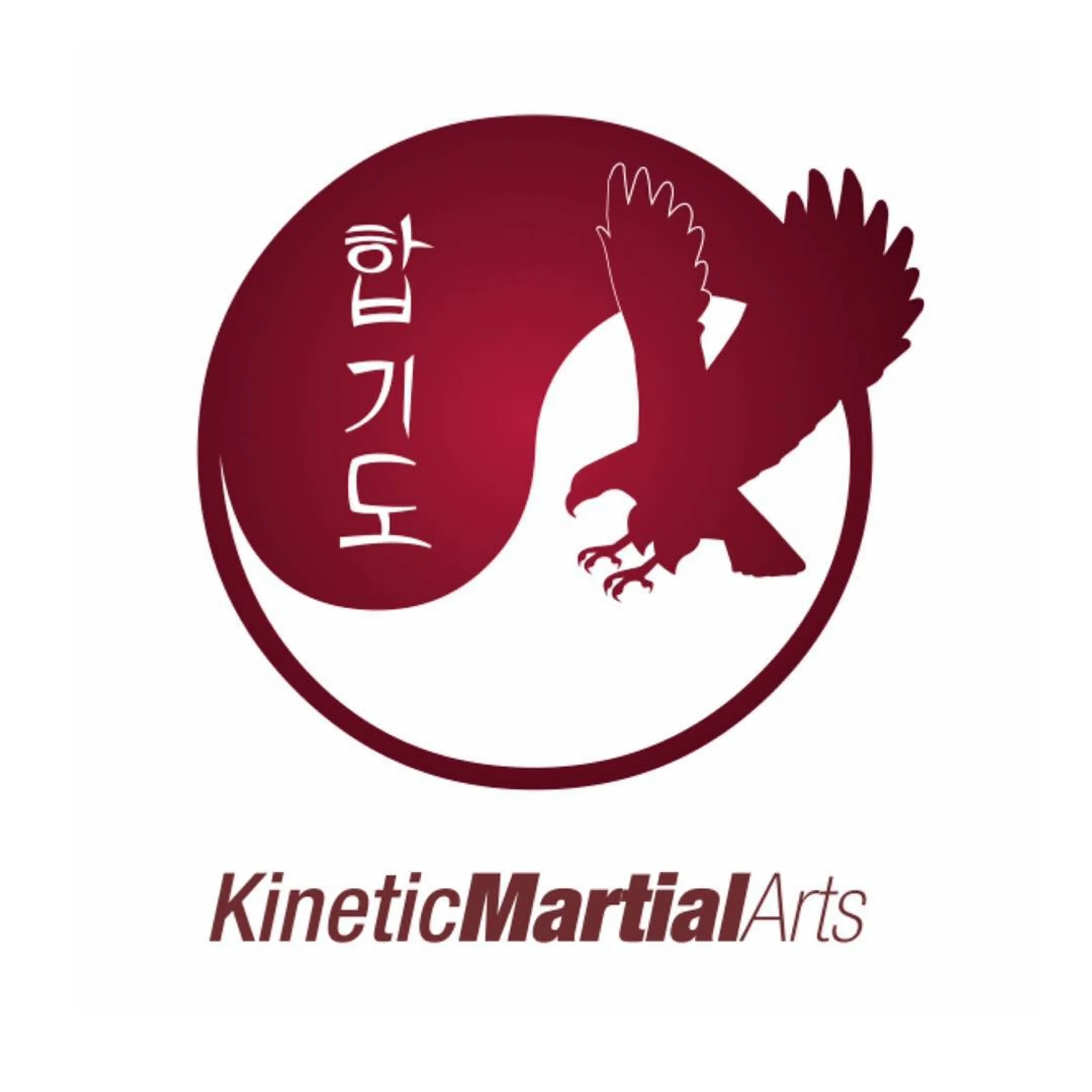 Kinetic Martial Arts-The Entrance
