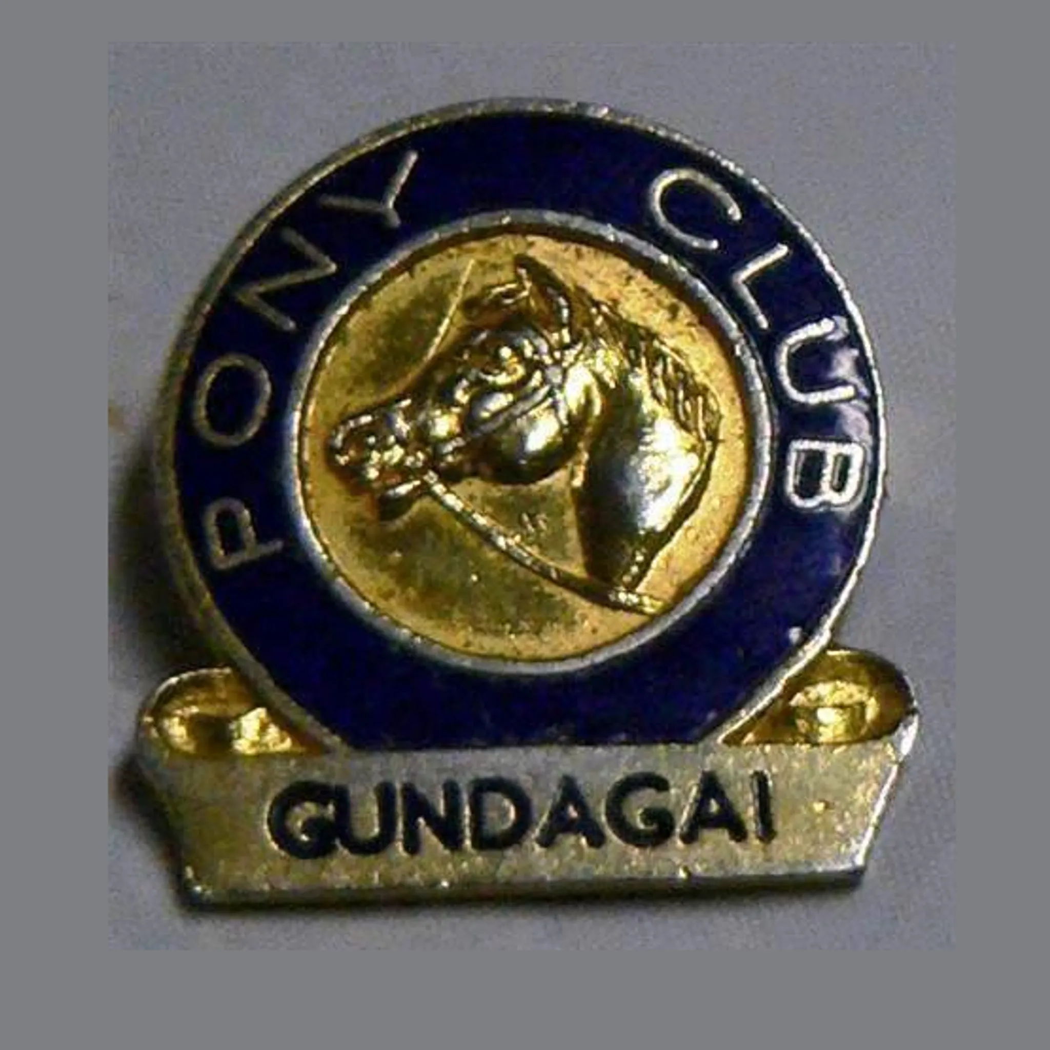Gundagai Pony Club