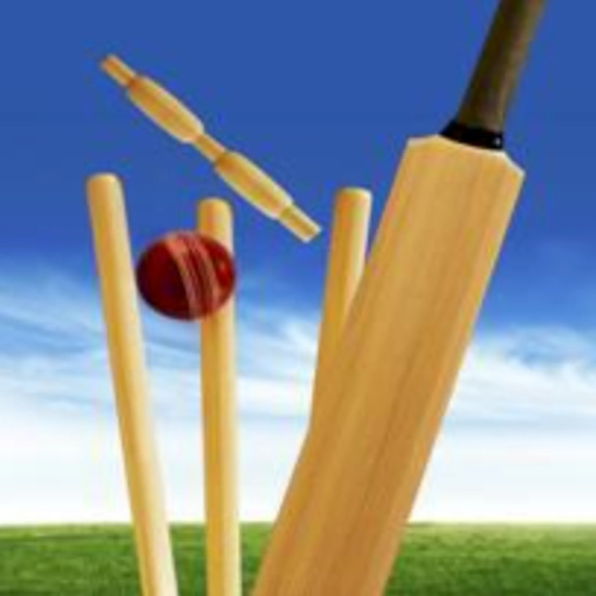 Parkes District Junior Cricket Association