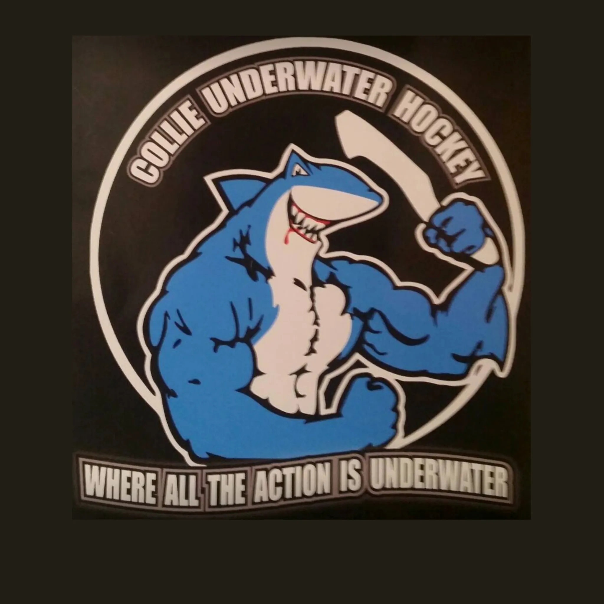 Collie Underwater Hockey Club