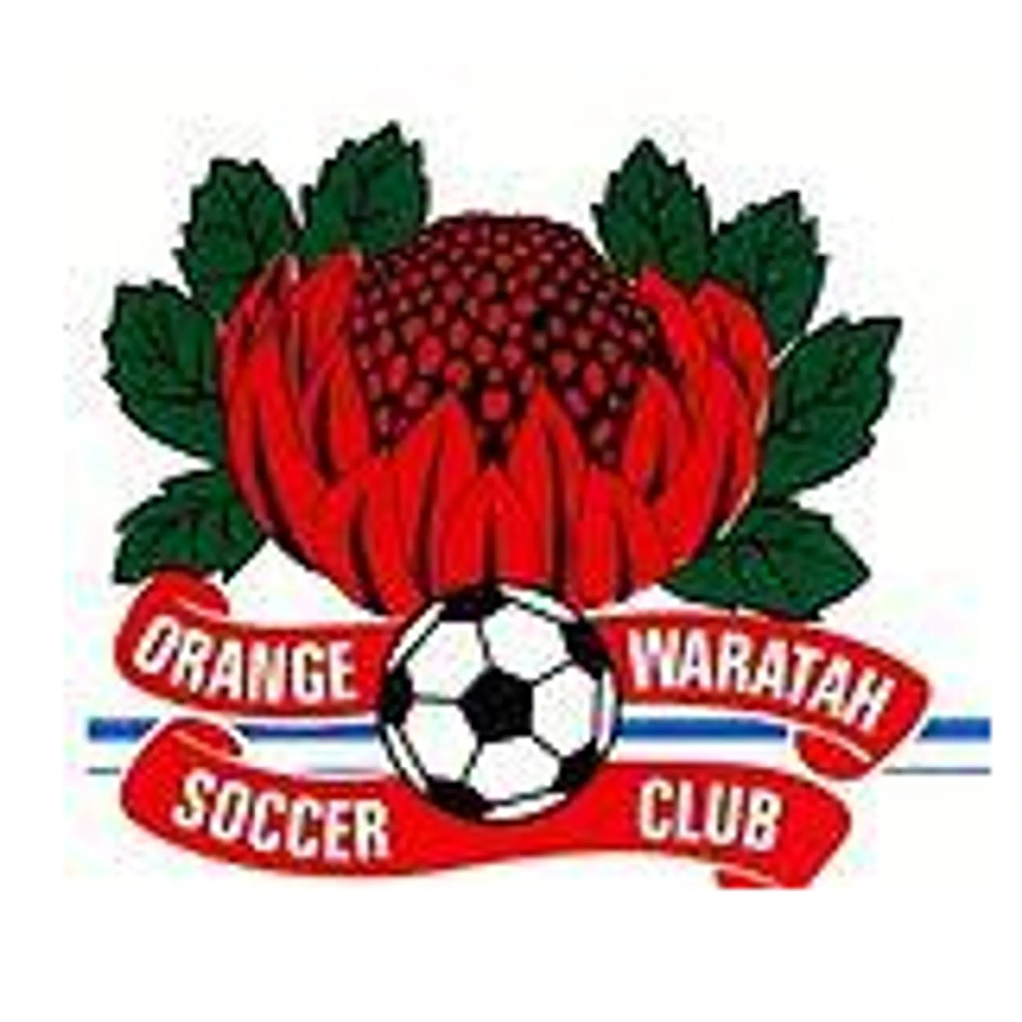 Orange Waratah Soccer Club