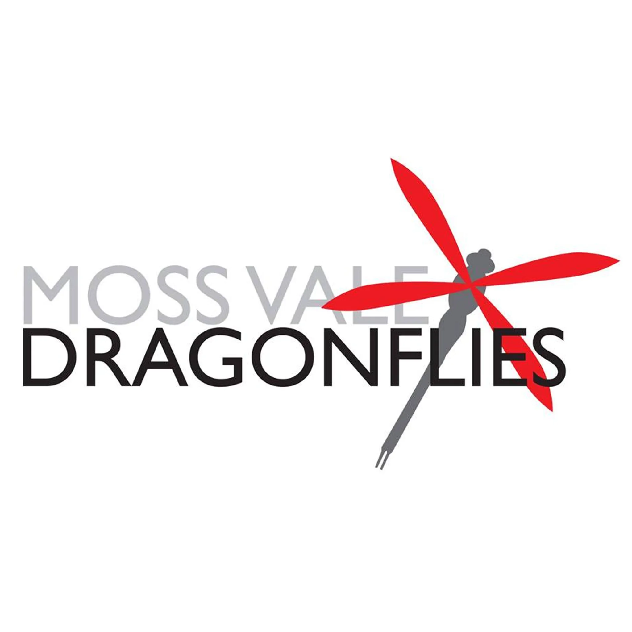 Moss Vale Dragonflies Netball Club
