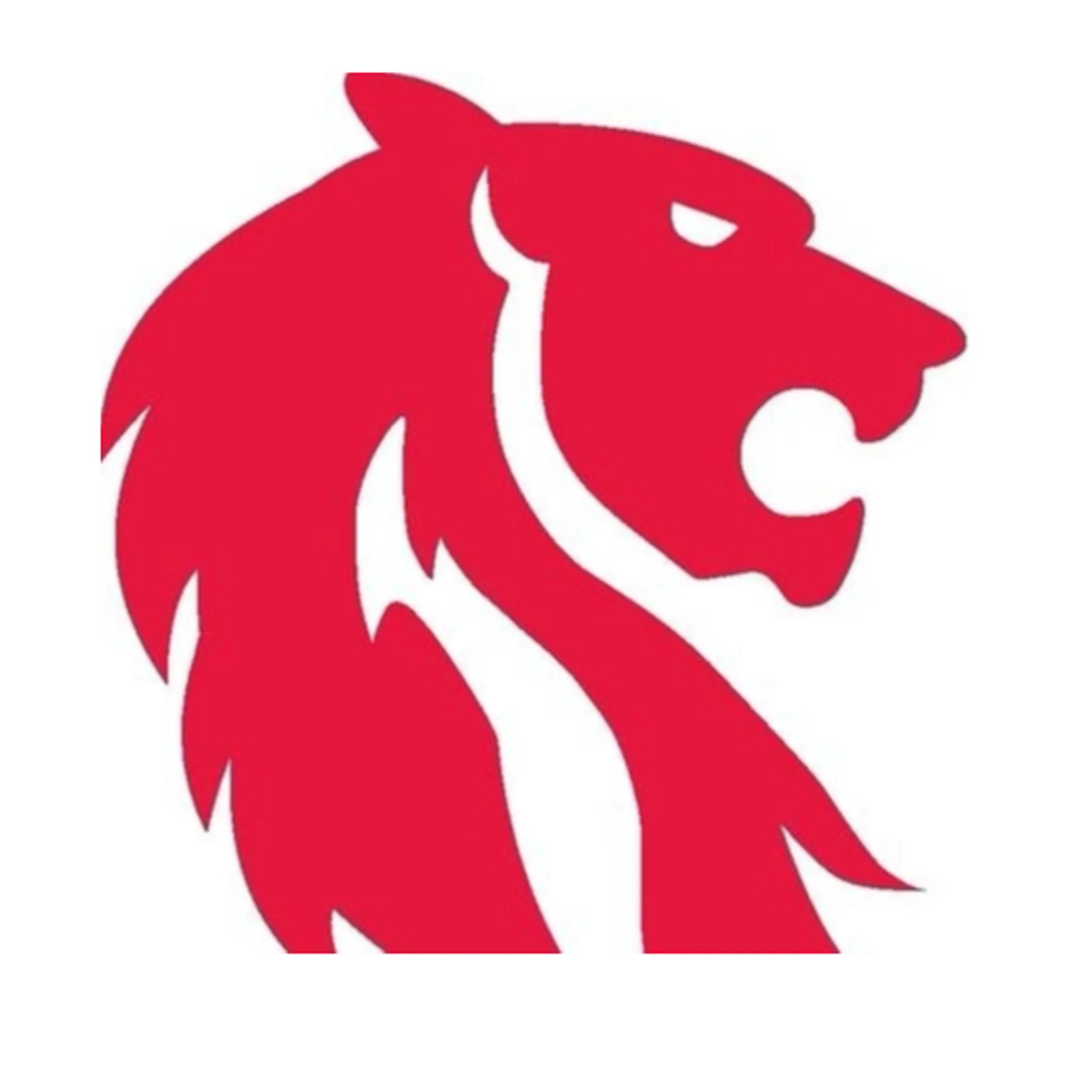 South Newcastle R L Football Club (Juniors) Inc. (Newcastle JRL Association Inc.)