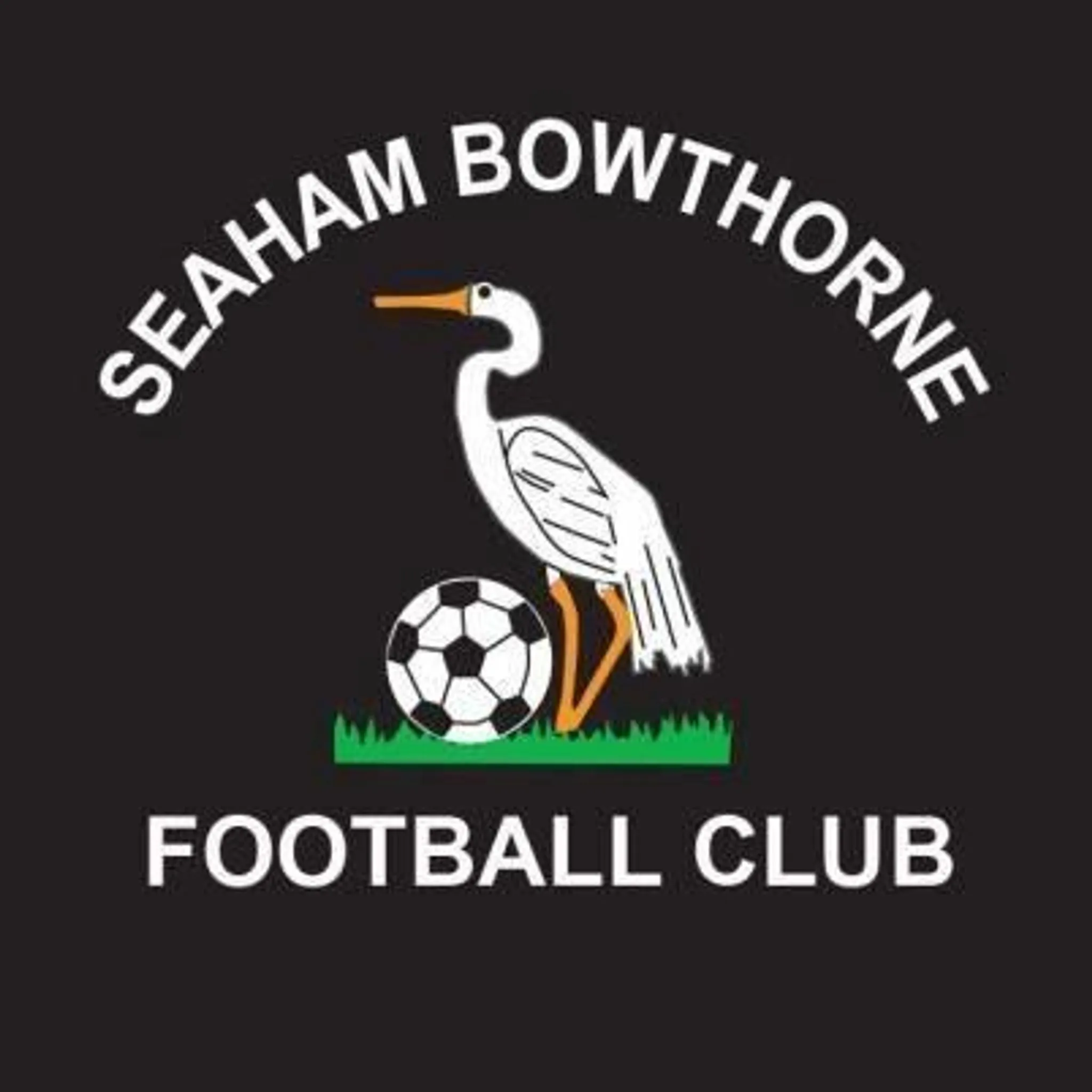Seaham Bowthorne Football Club