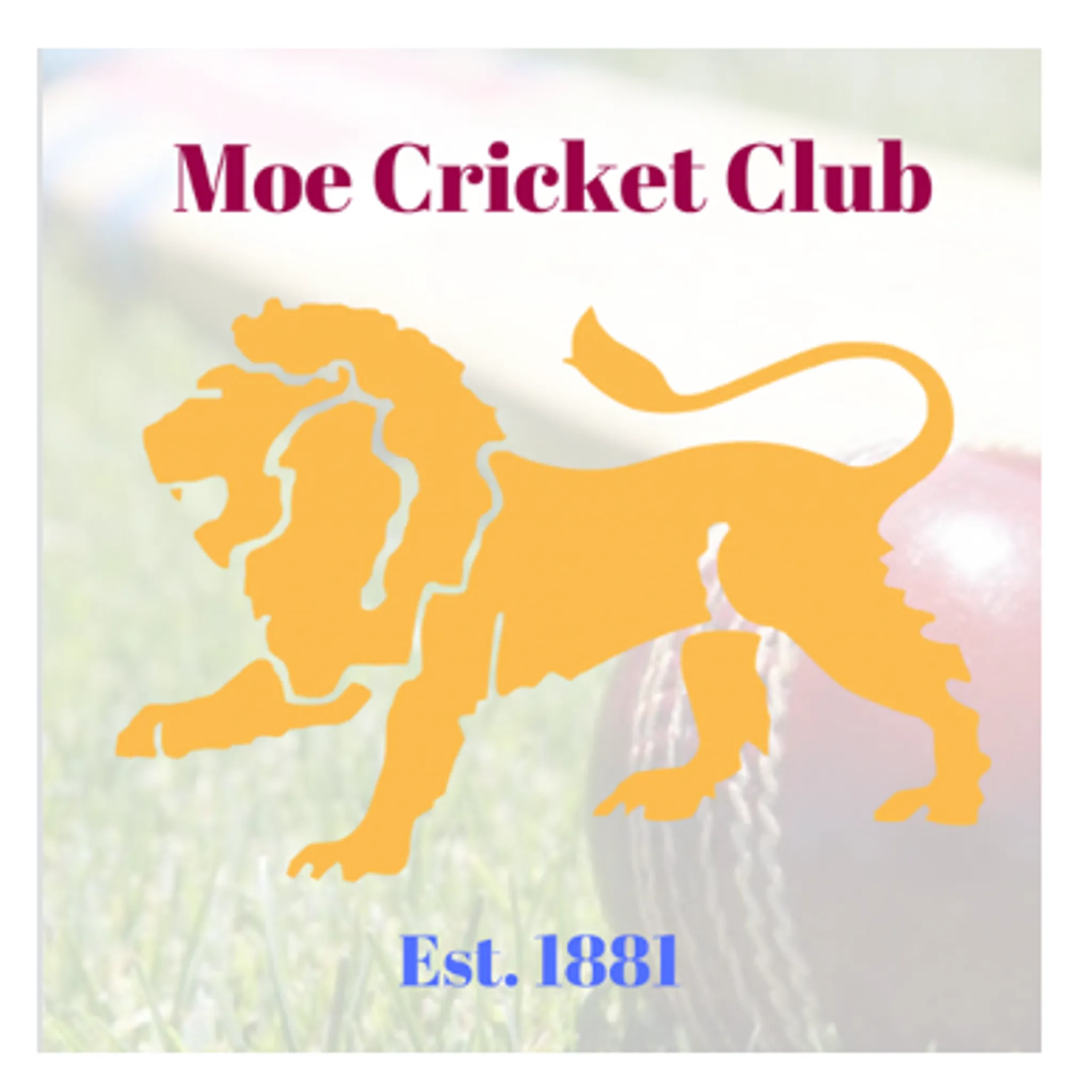 Moe Cricket Club