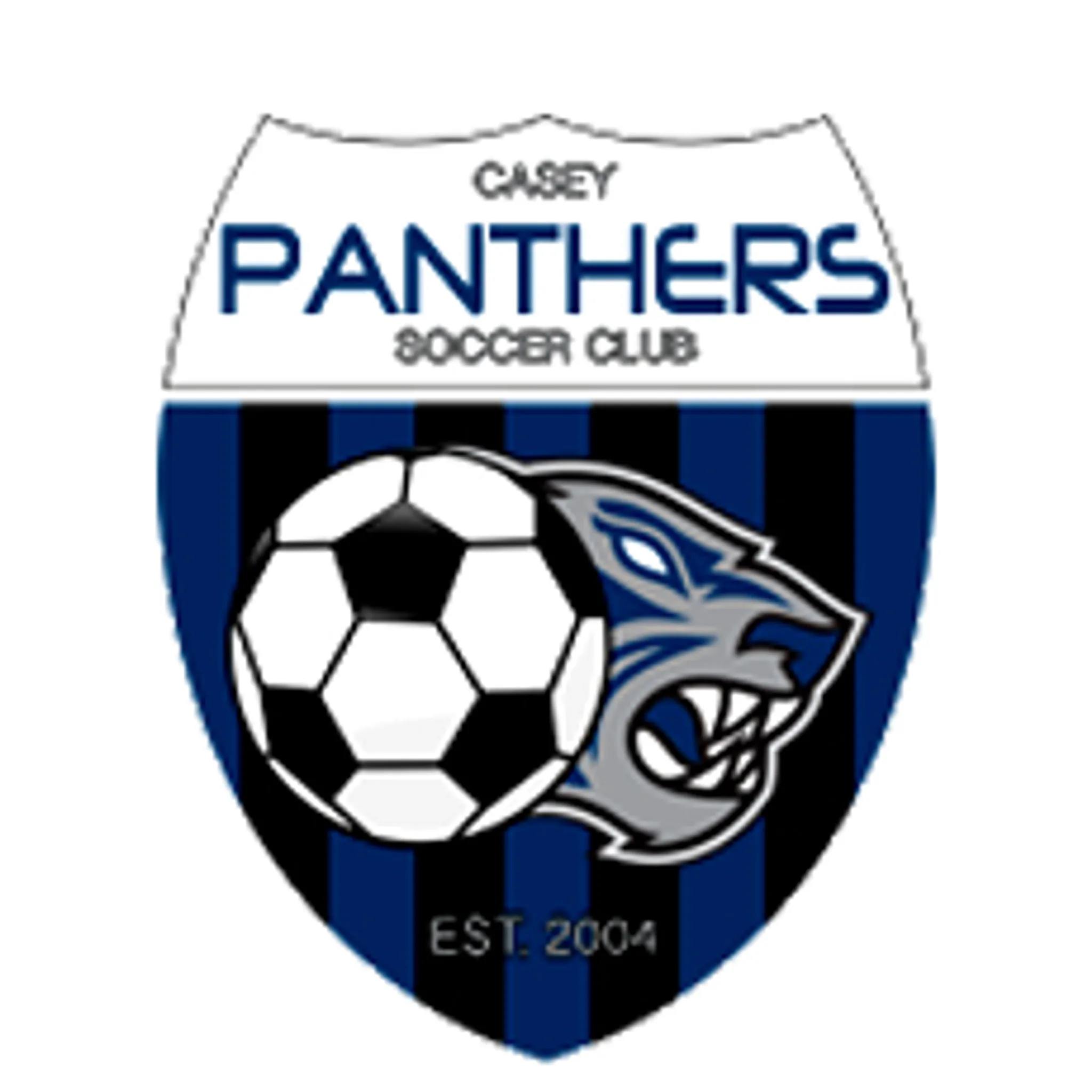 Casey Panthers Soccer Club