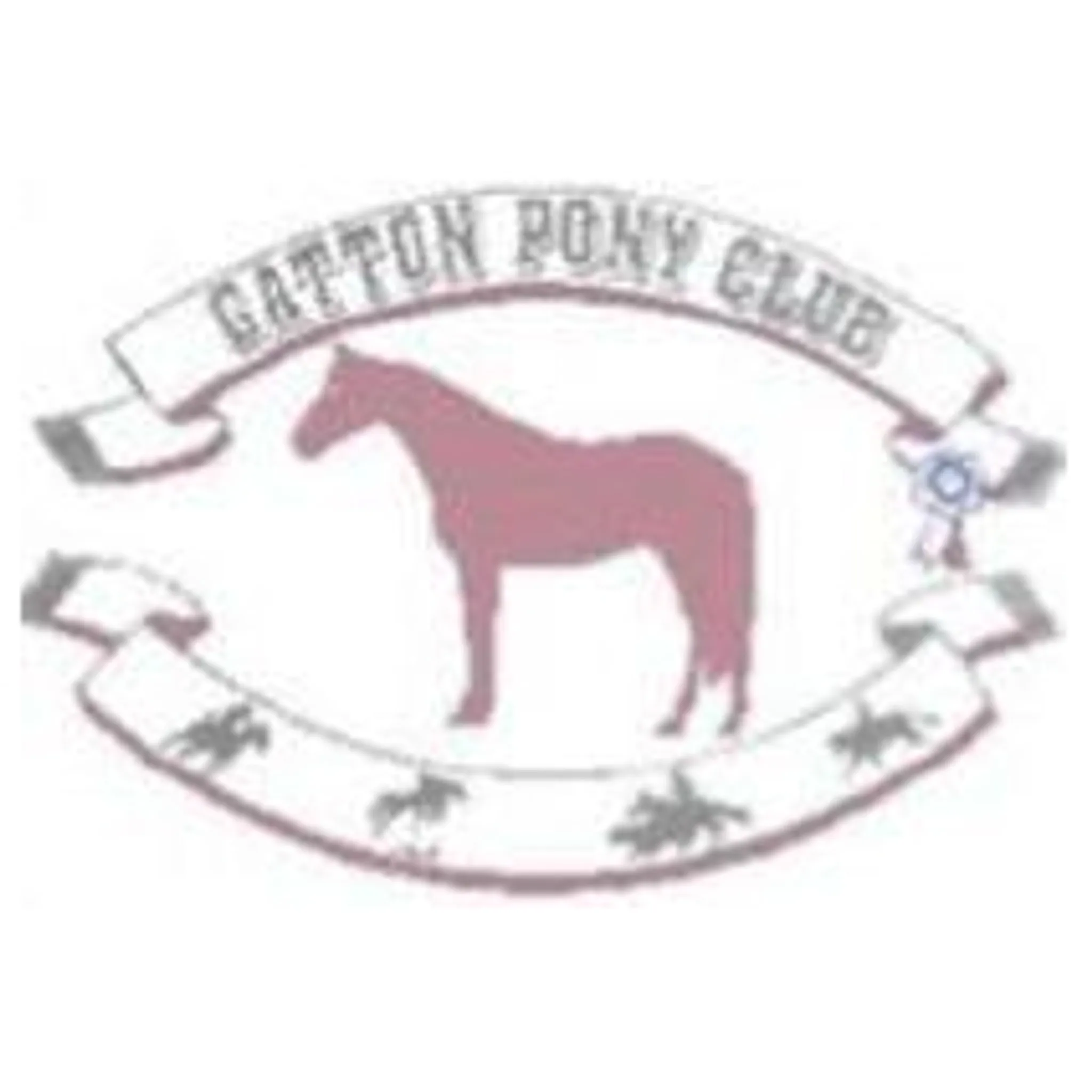 Gatton Pony Club