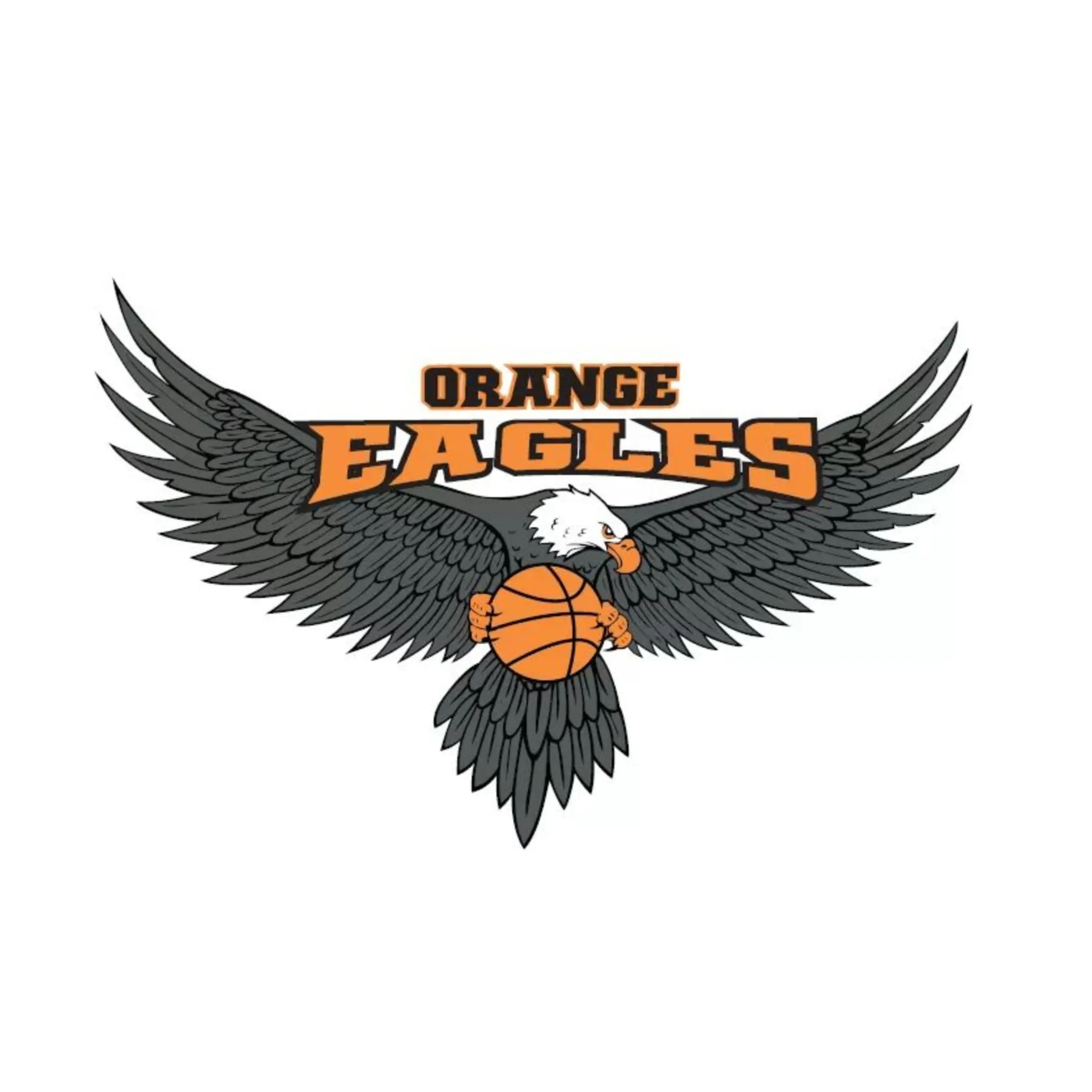 Orange Basketball Association