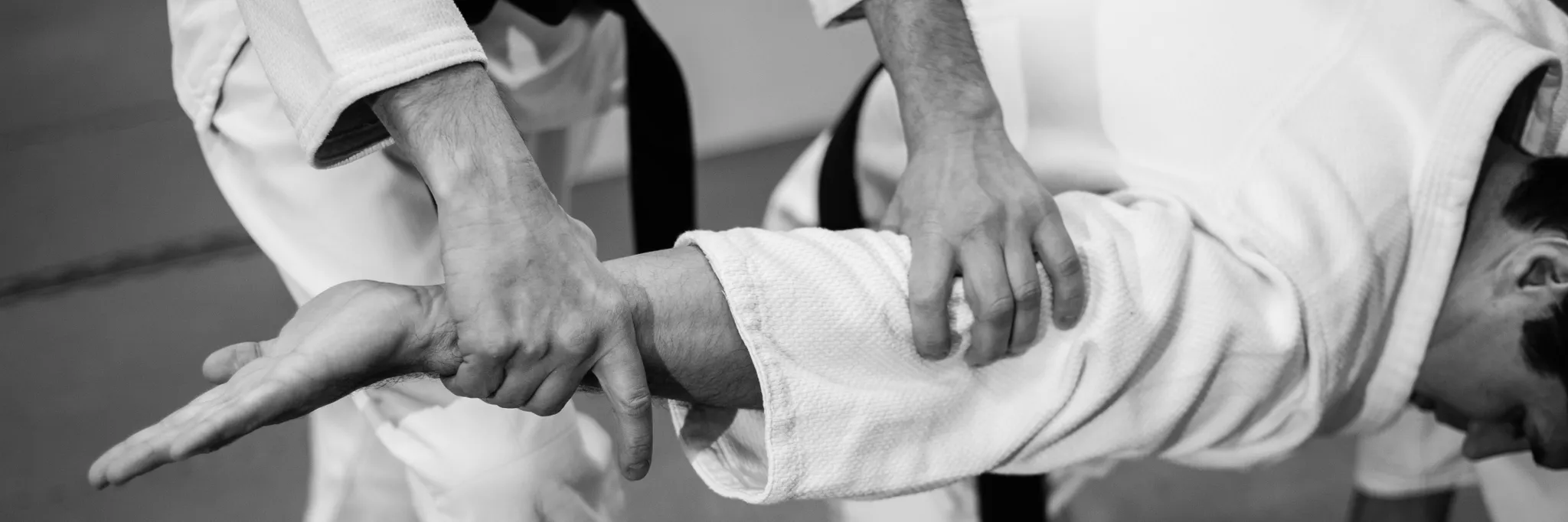 Saturday Adults Aikido Classes Saturday Adults Aikido Classes