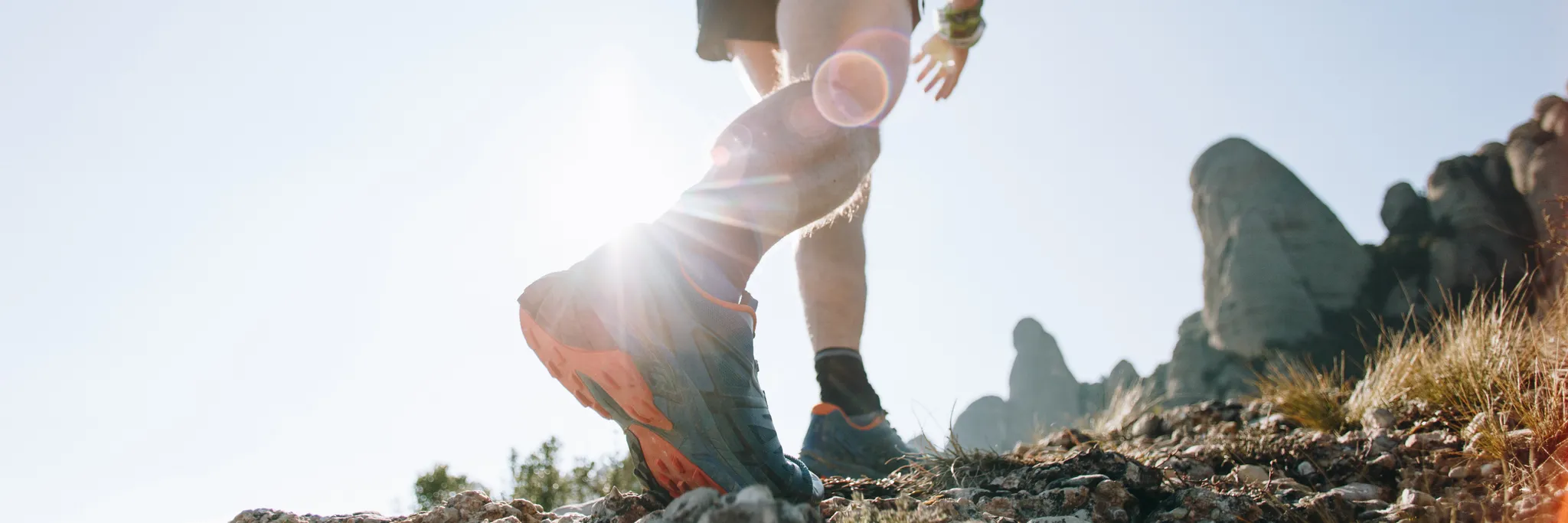 Australian Ultra Runners Association 