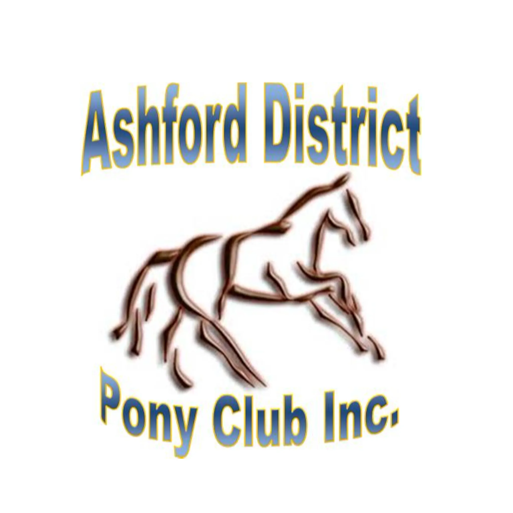 Ashford District Pony Club