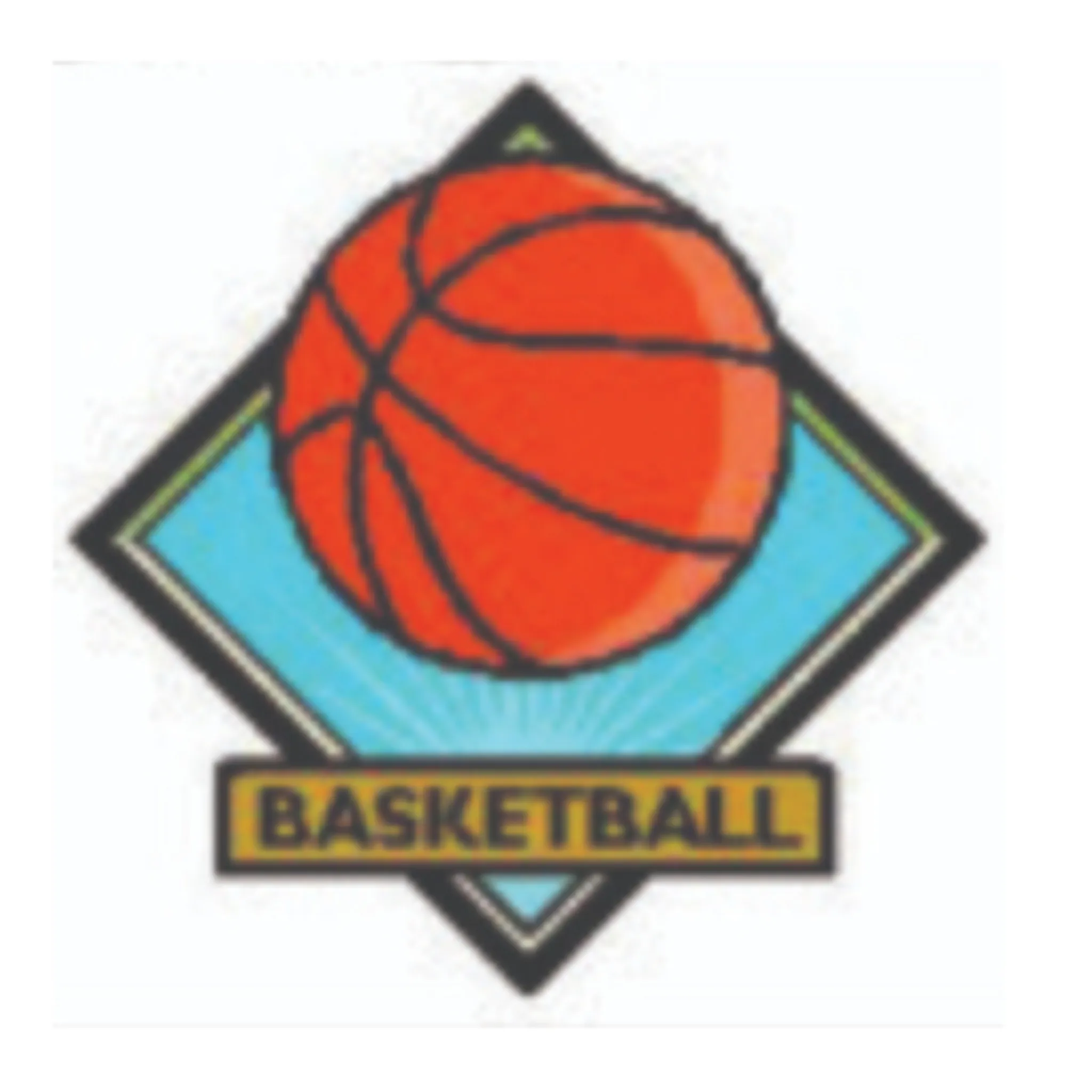 Charlton Basketball Association