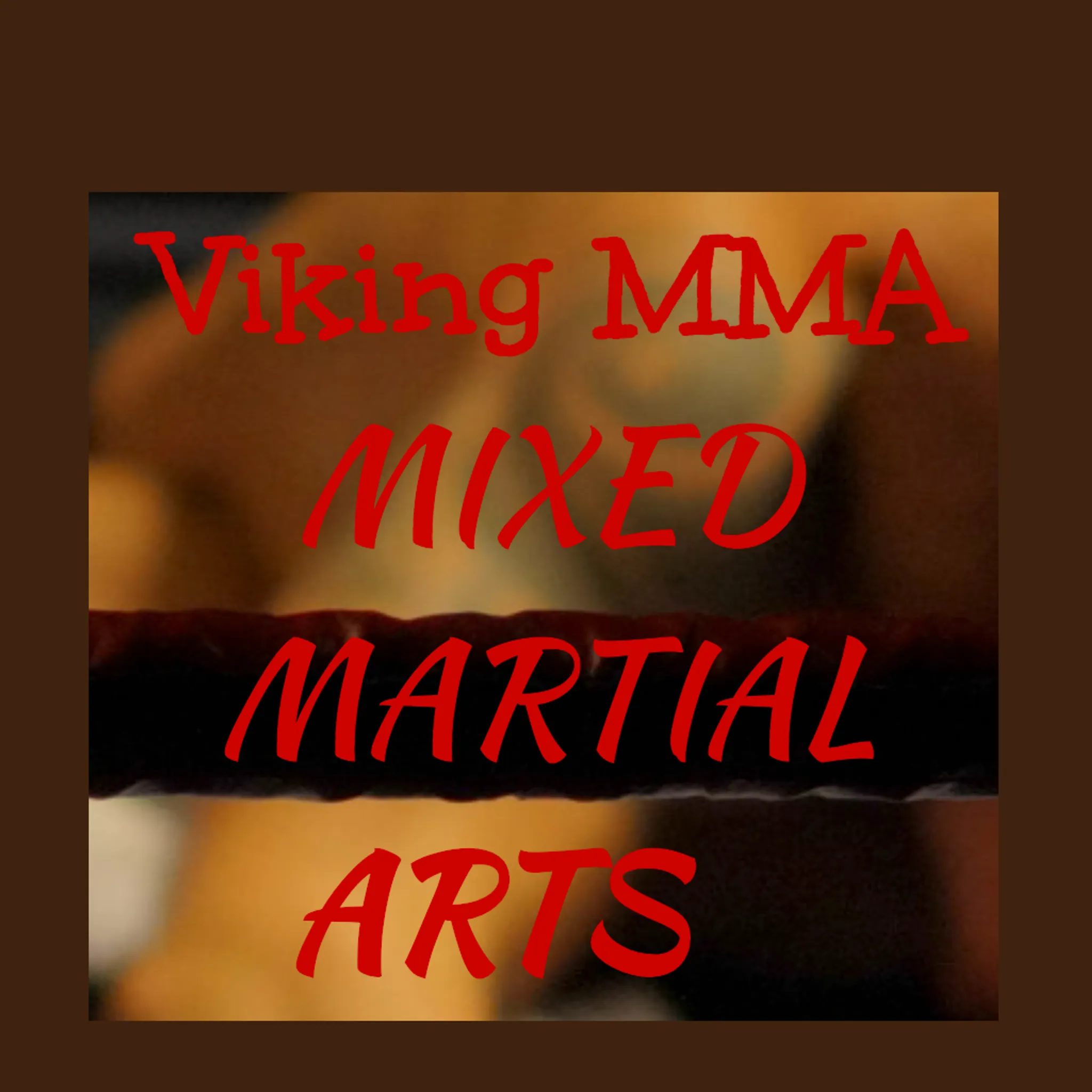 Viking MMA
