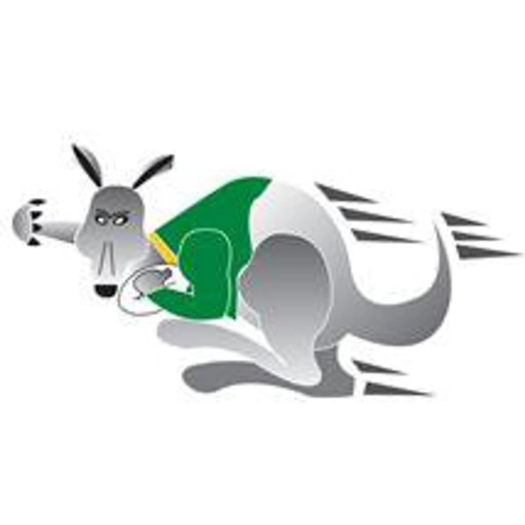 Wyong Leagues Netball Club