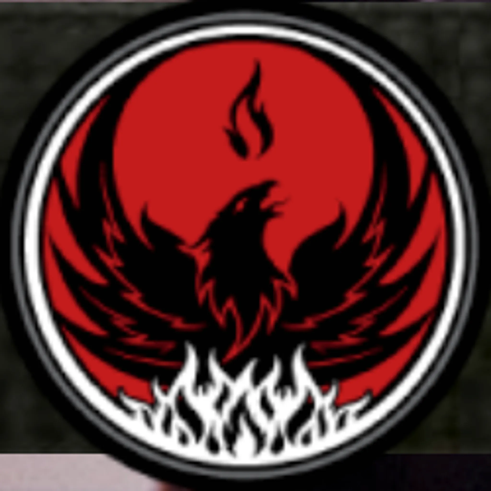 Rise Mixed Martial Arts