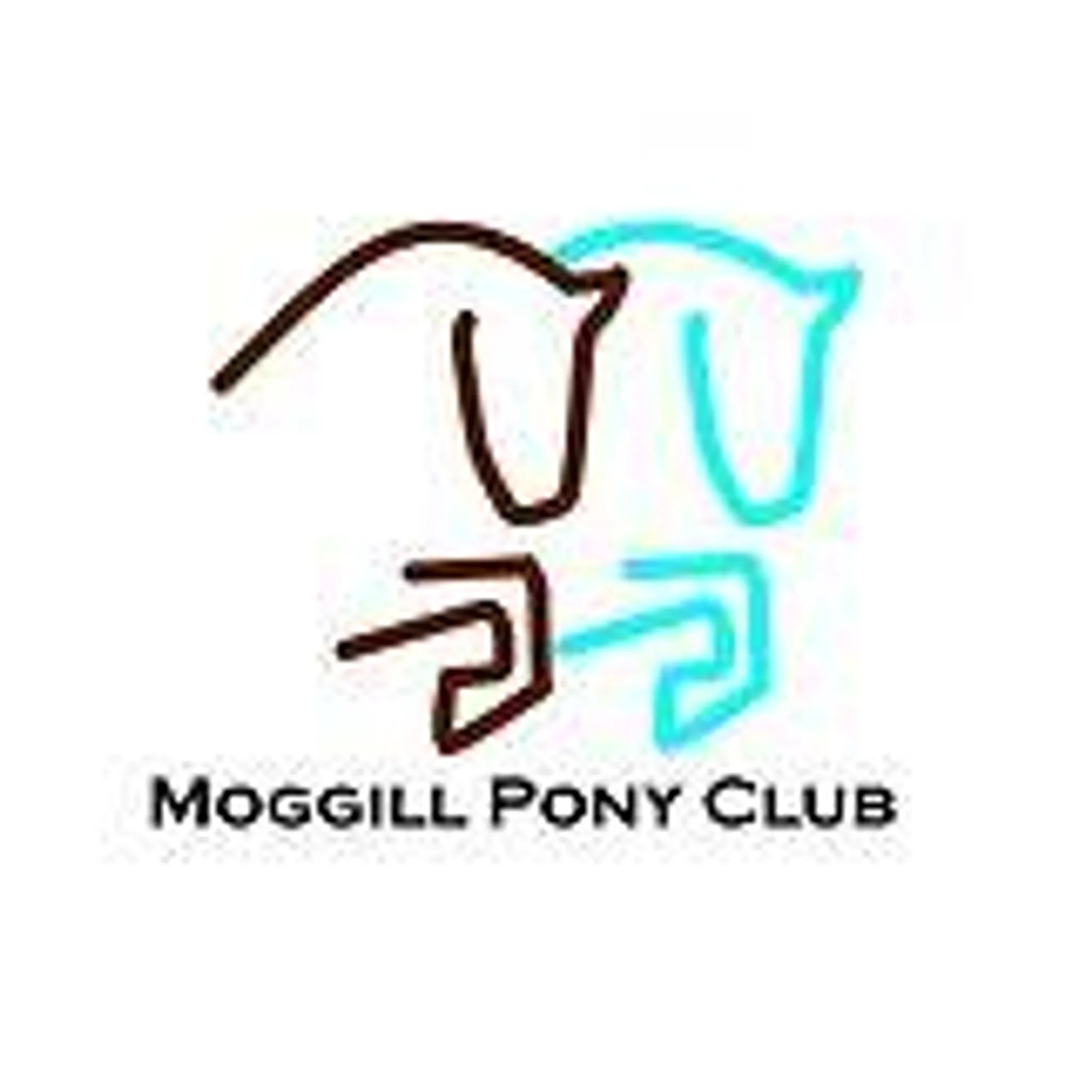 Moggill Pony Club