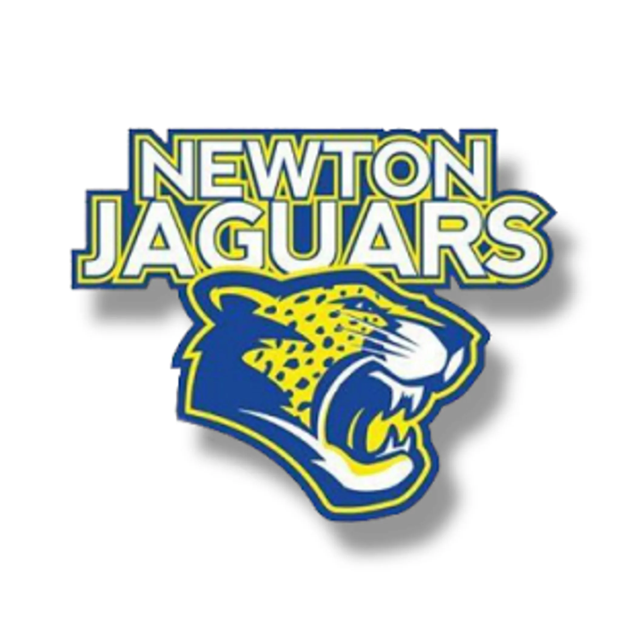 Newton Jaguars Netball Club