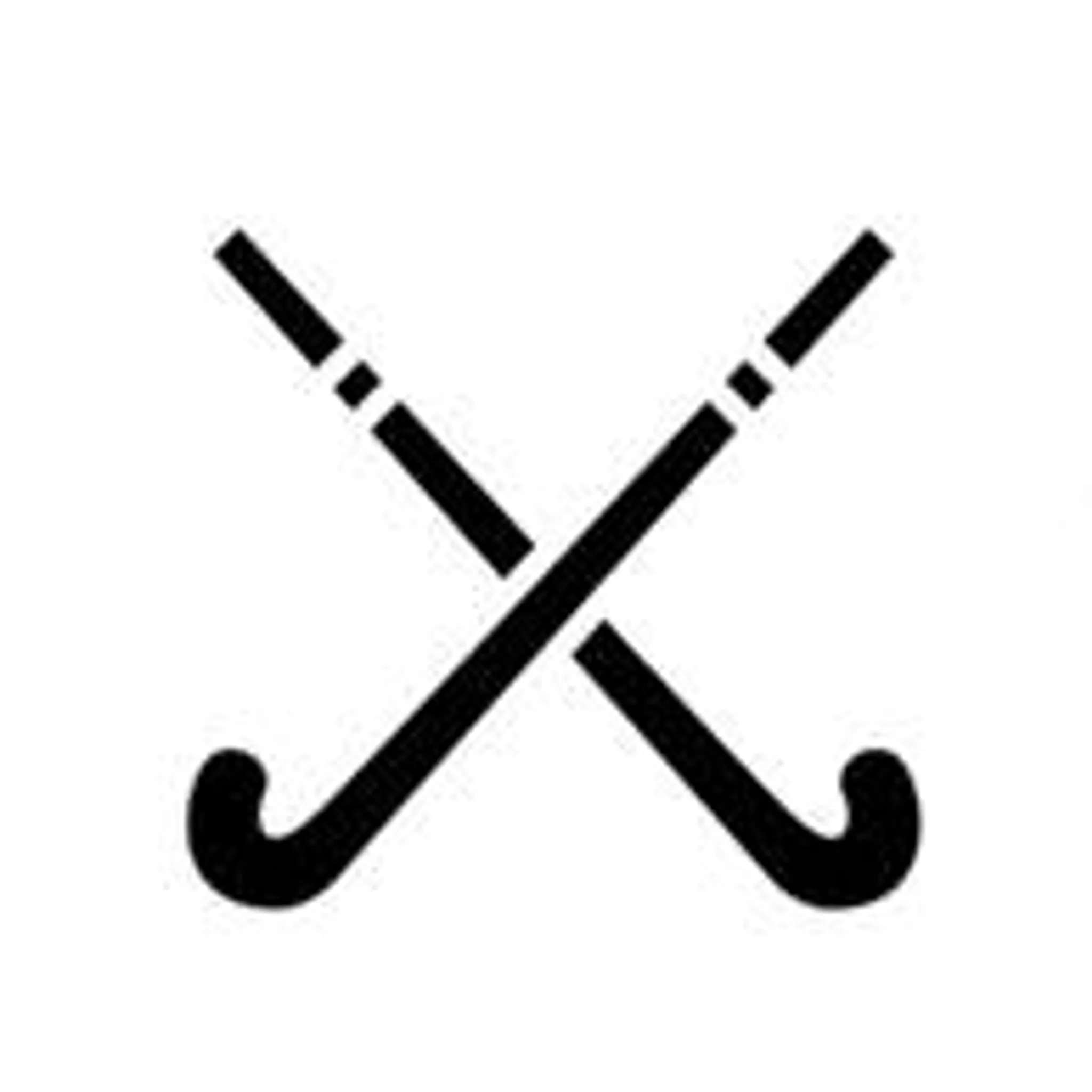 Three Springs Hockey Club