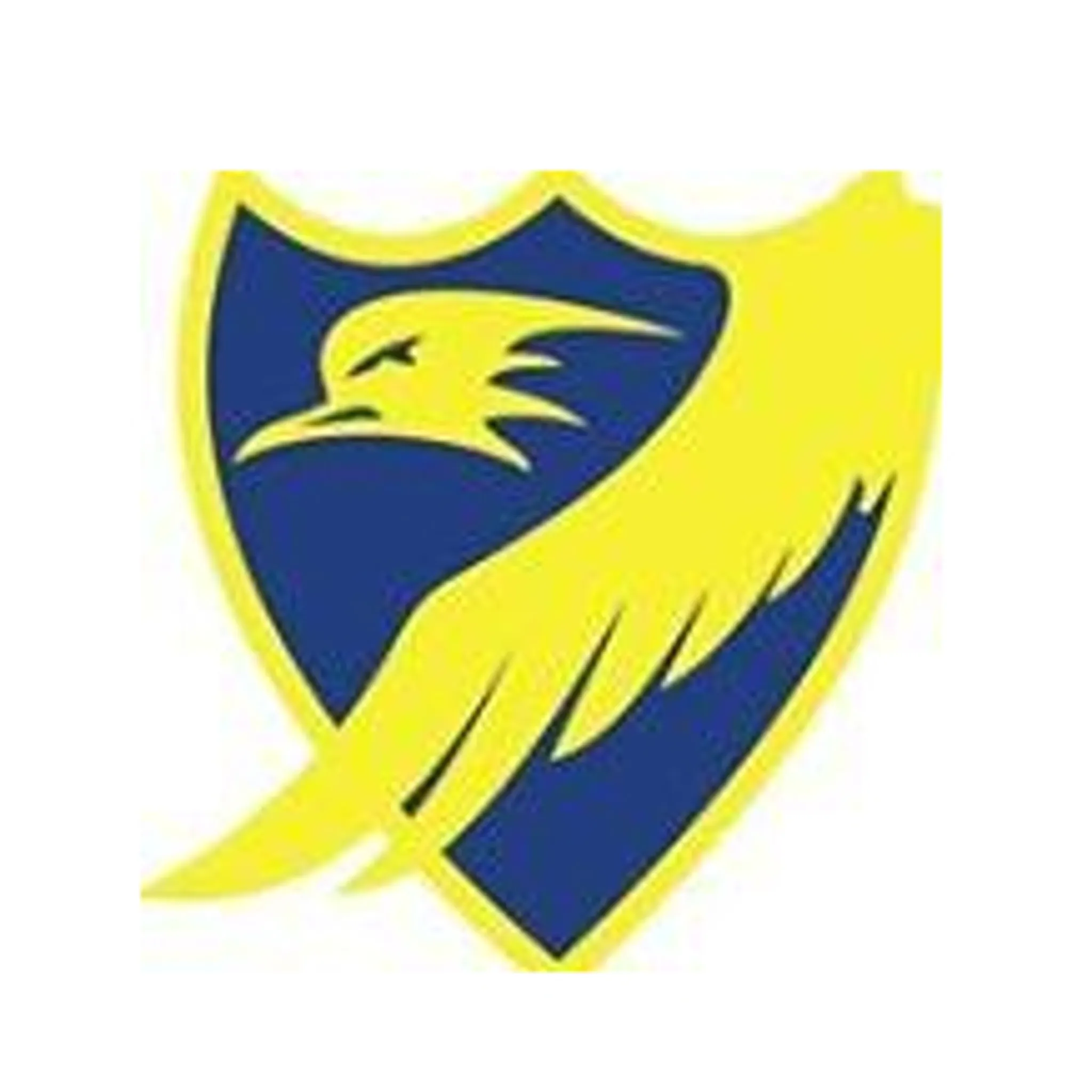 North Shore Football & Netball Club