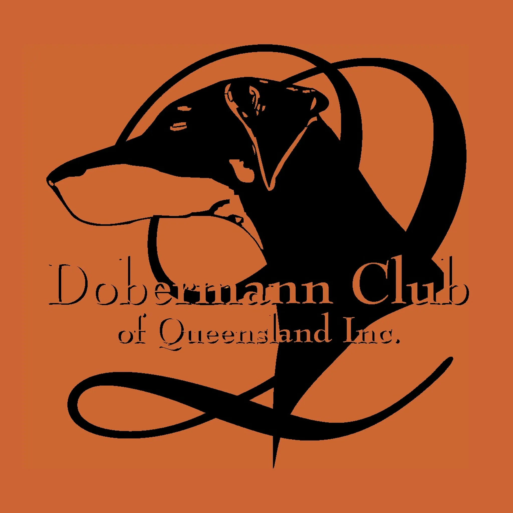 Dobermann Club of QLD 