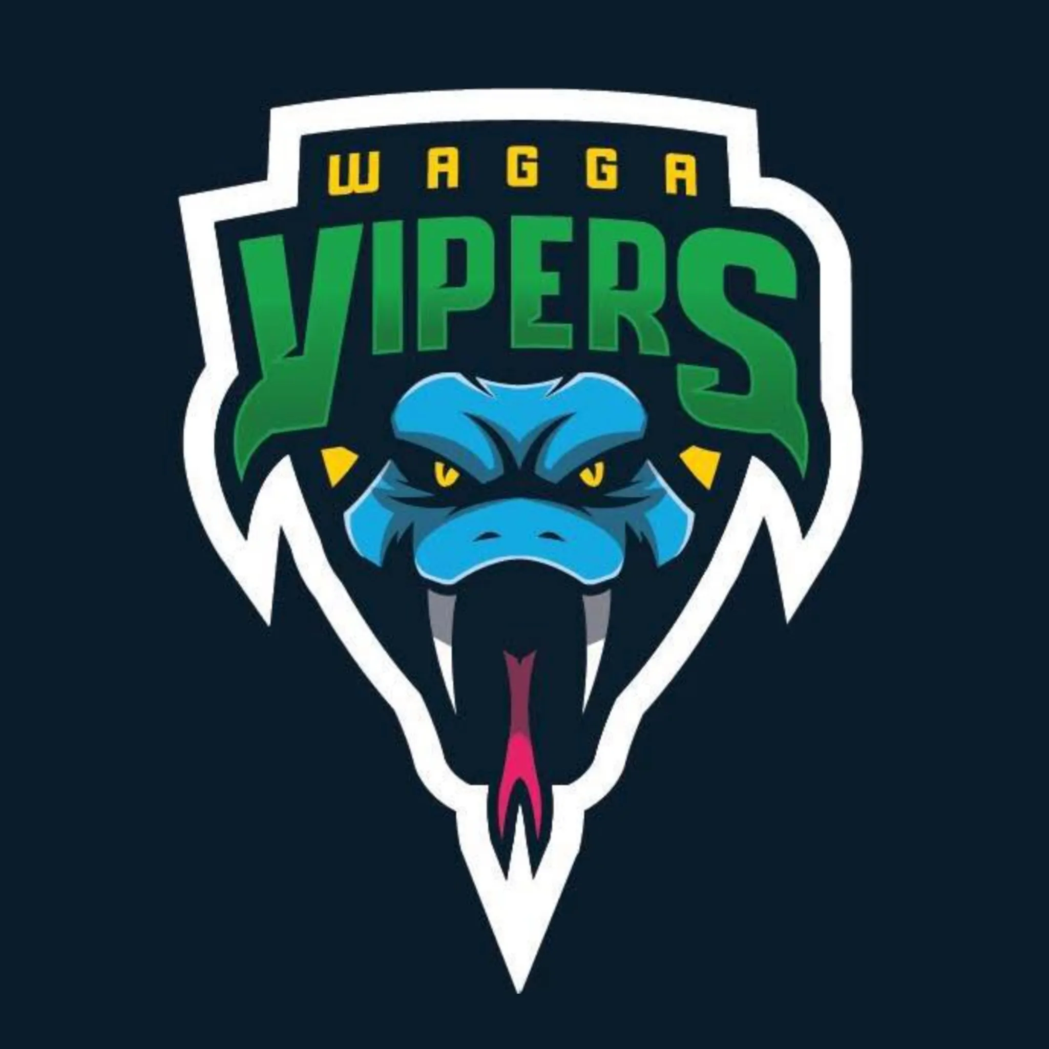 Wagga Touch Association