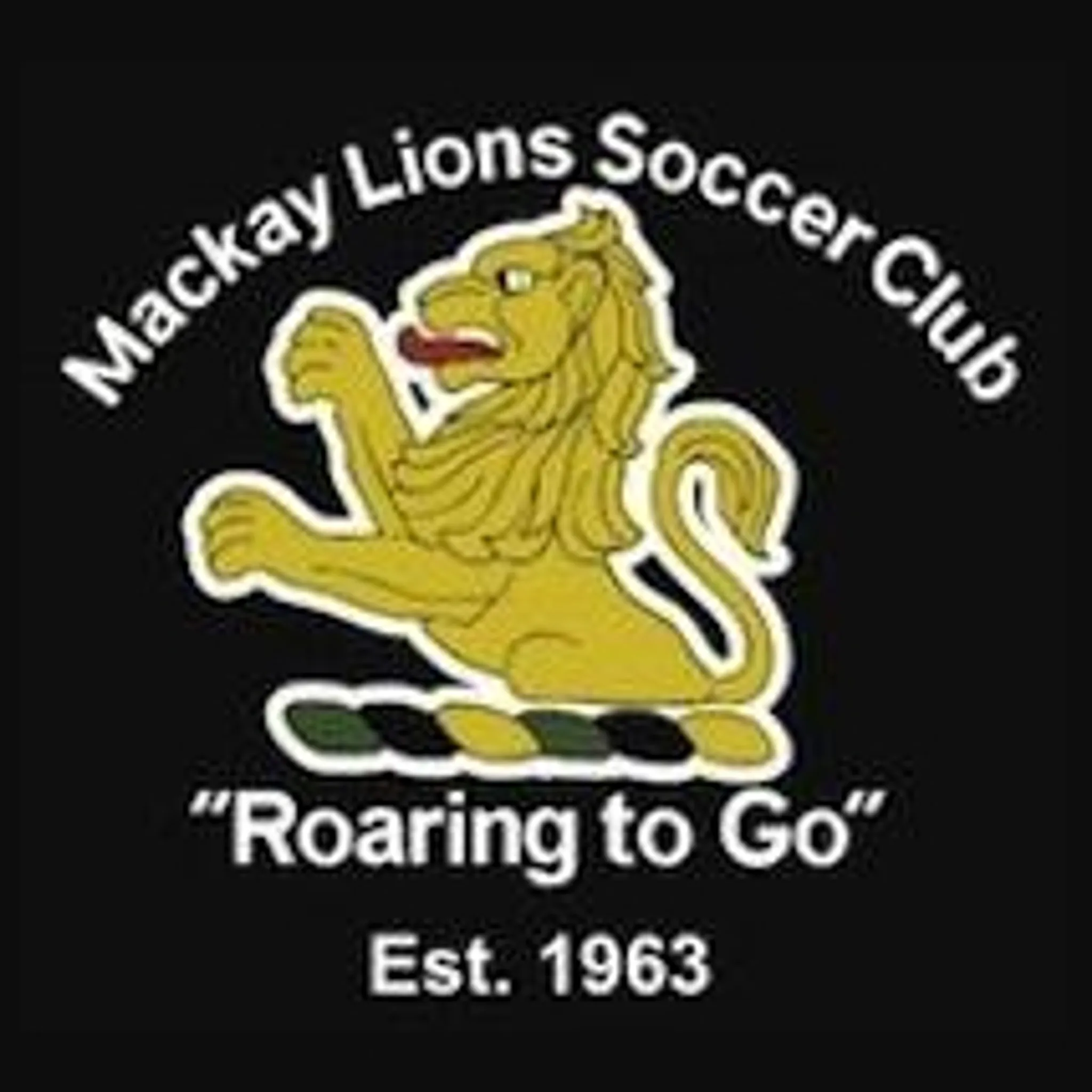 Mackay Lions Soccer Club Inc