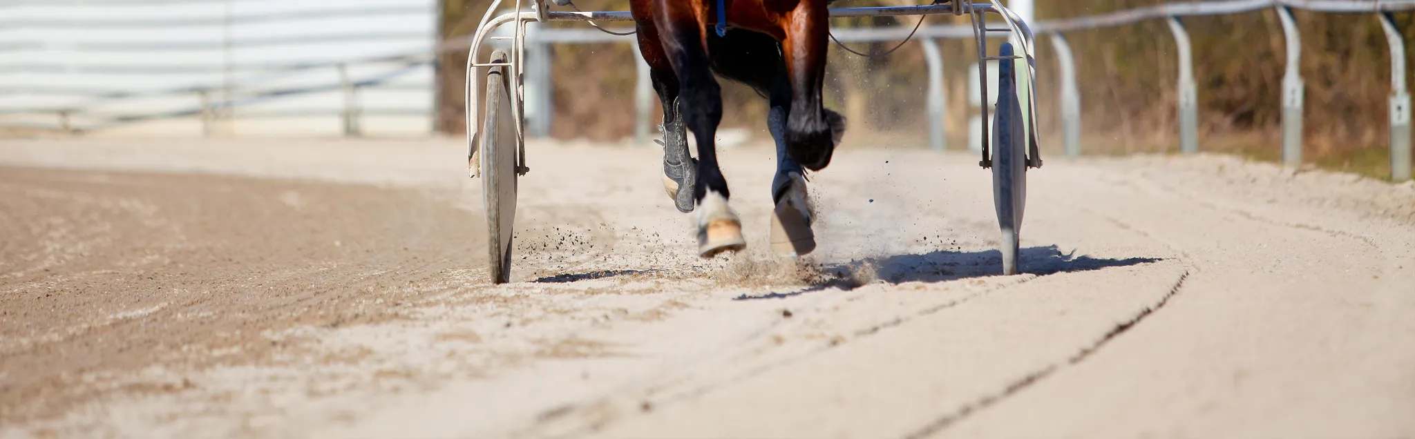 Harness Racing banner