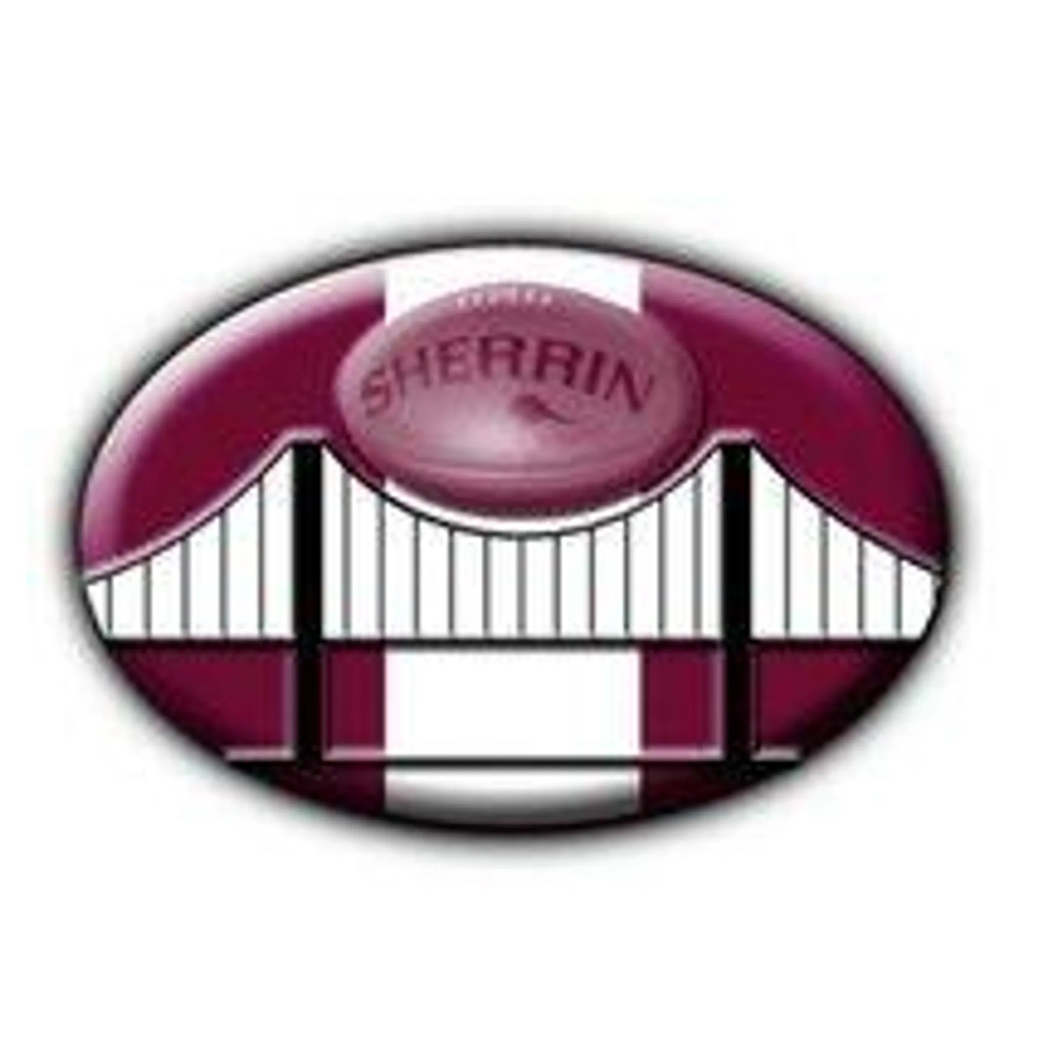 Newbridge Football / Netball Club