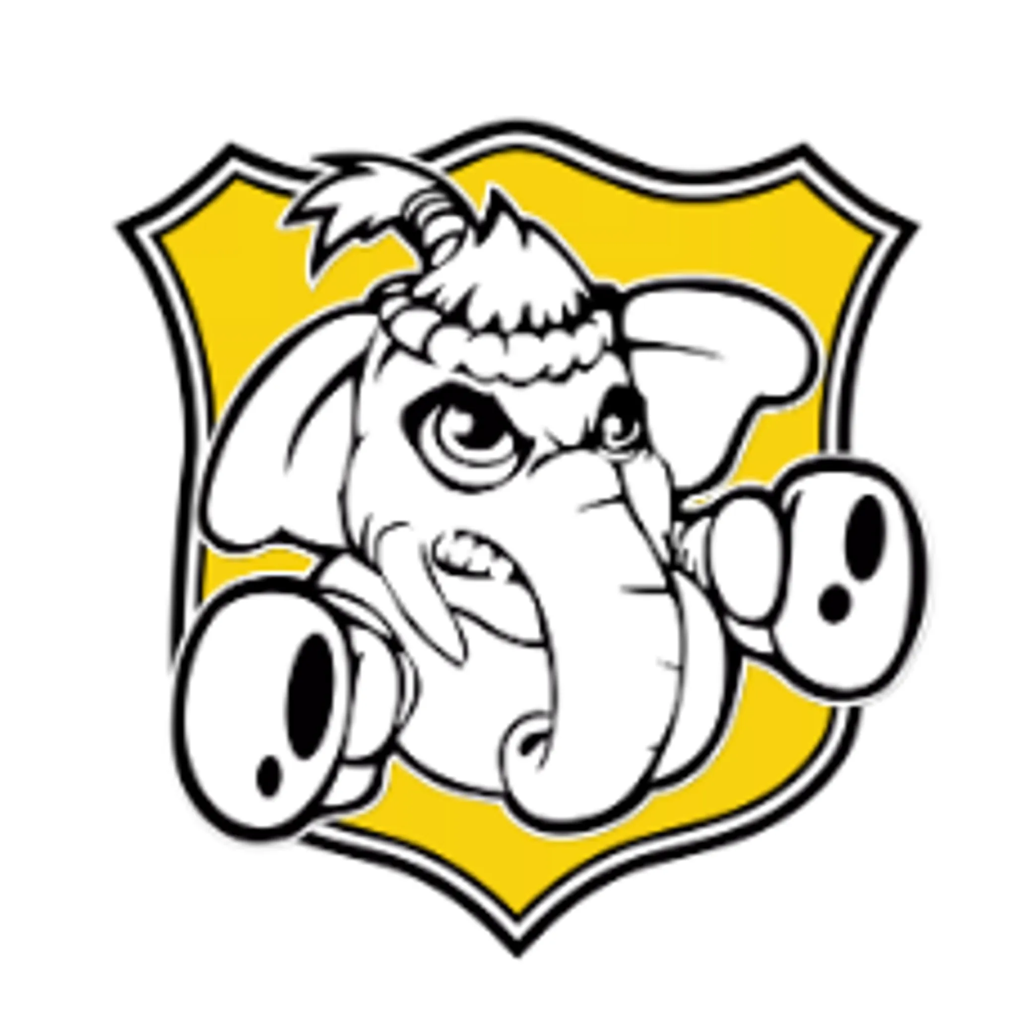 Double Dose Muay Thai Australia