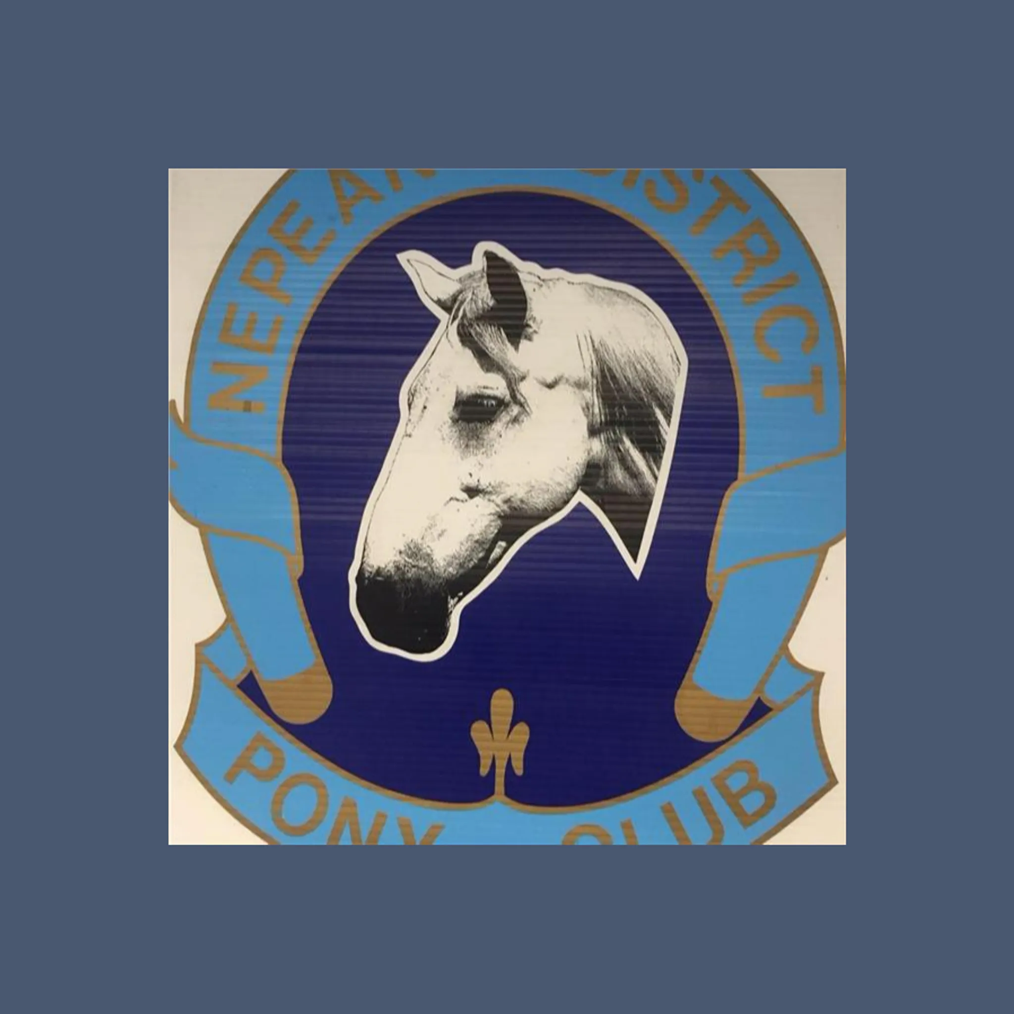 Nepean Pony Club