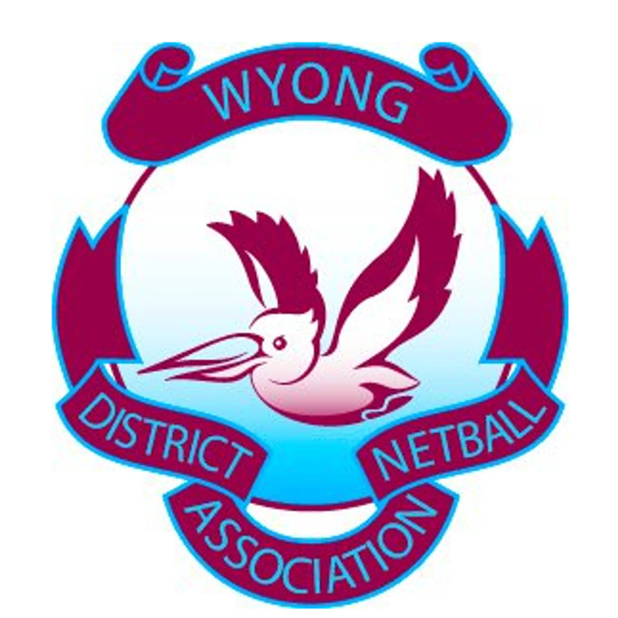 Toukley Netball Club