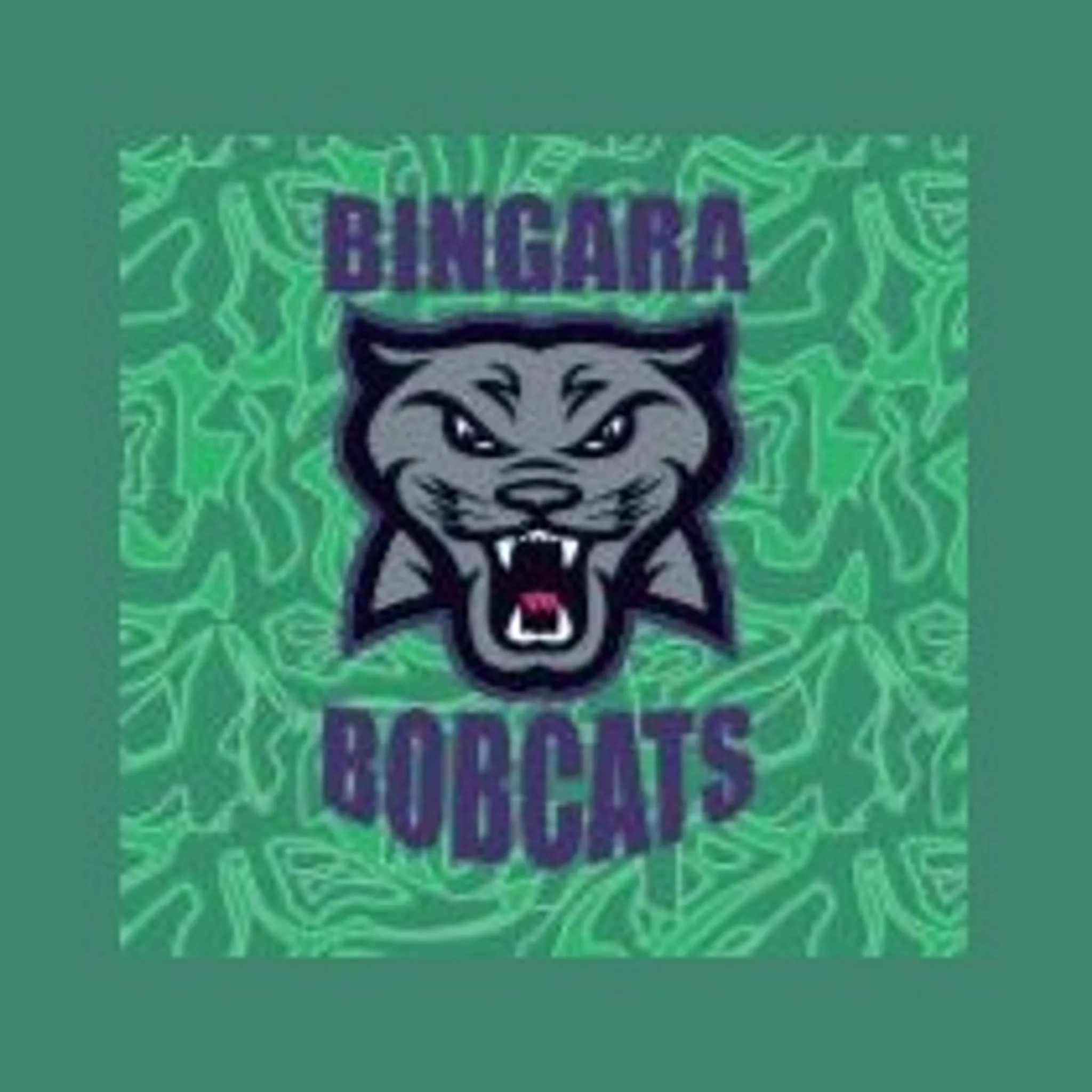 Bingara Bobcats Oztag