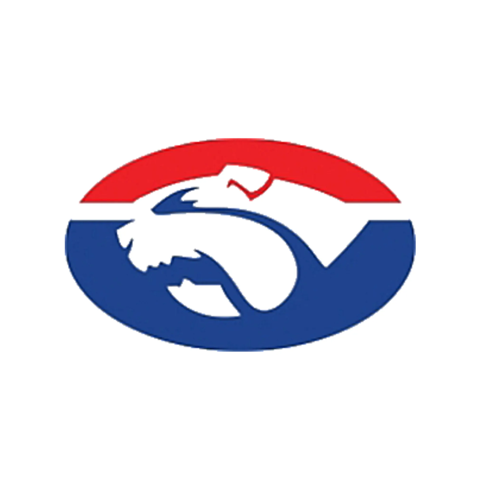 Daylesford Netball Football Club