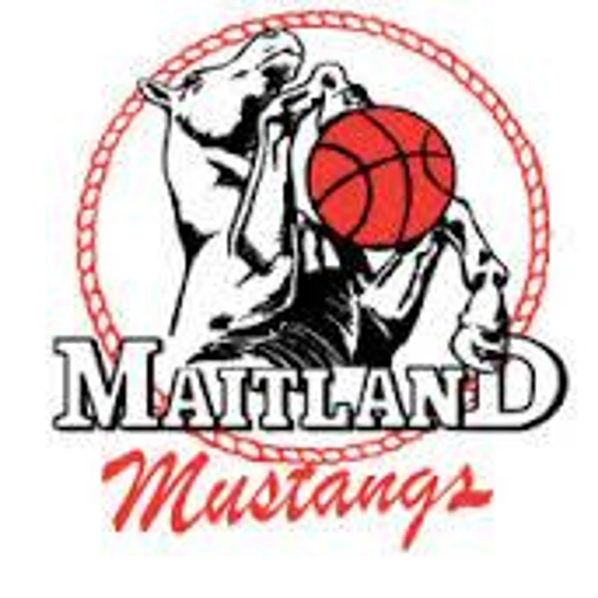Maitland Basketball Association