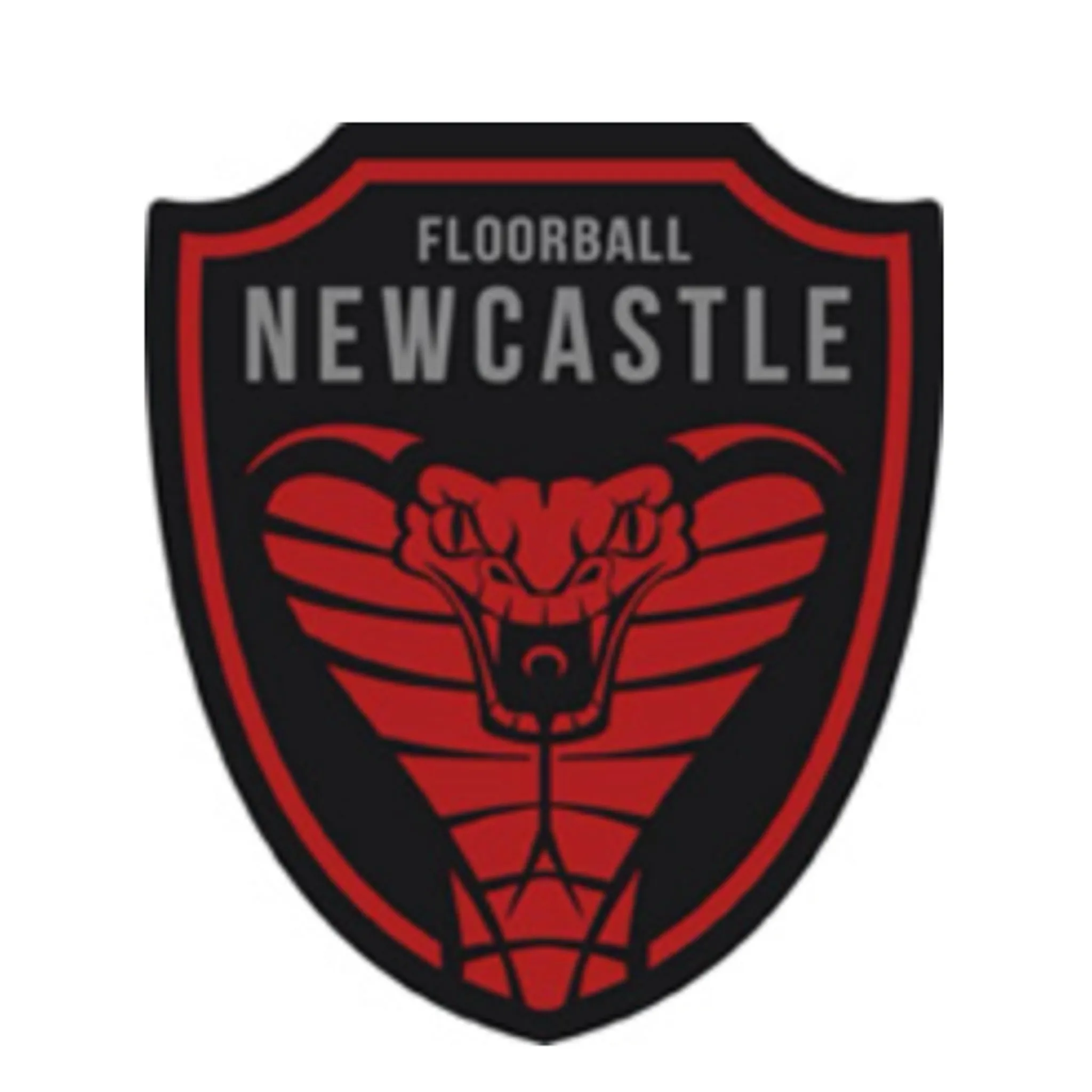 Newcastle Floorball Association