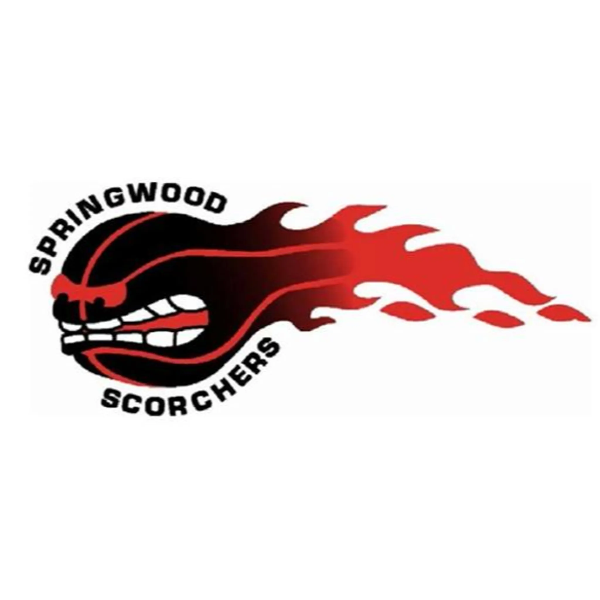 Springwood & Districts Basketball Association